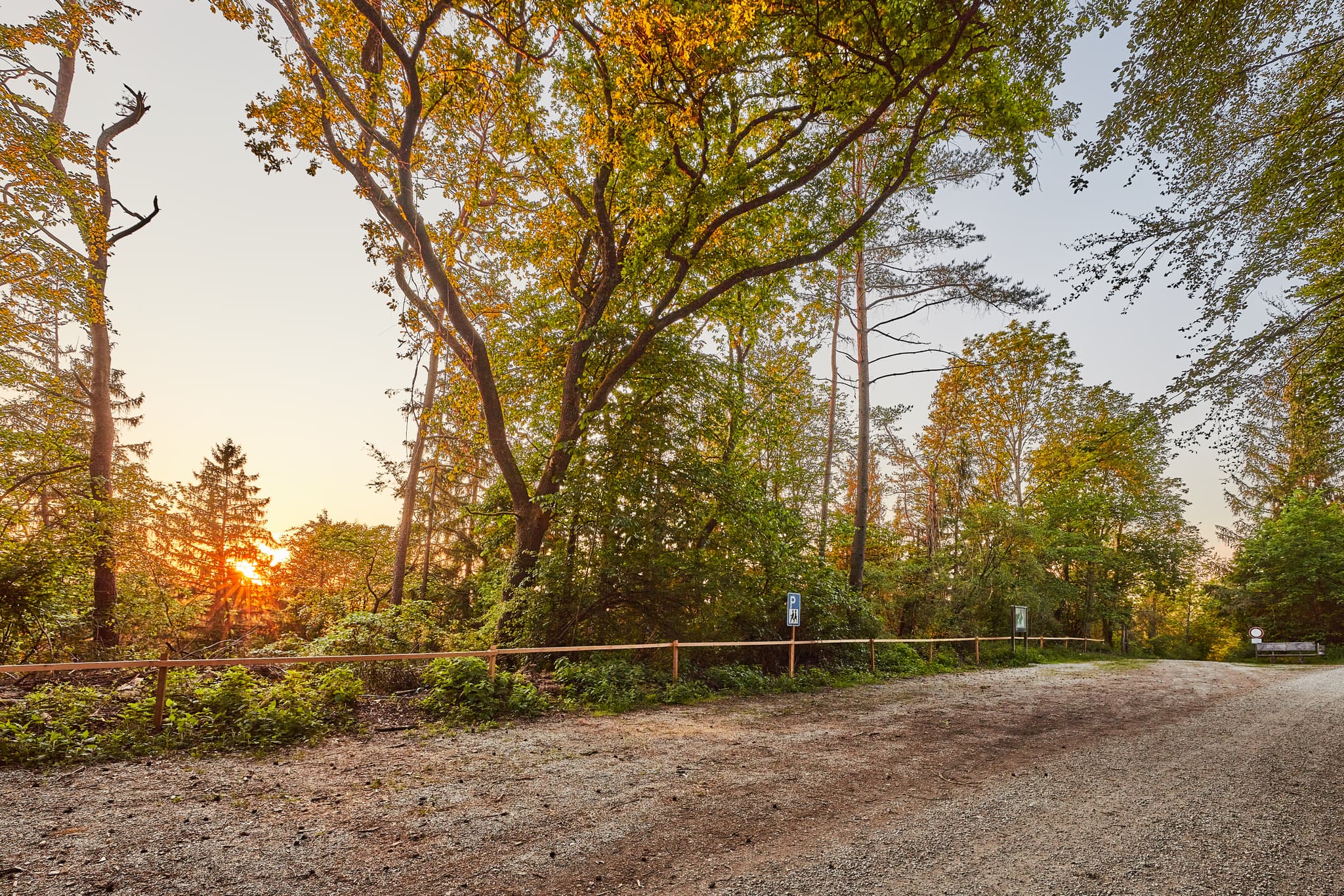 Dieser Waldweg des Klosterau Walderlebnispfads in Mehring, Altötting (Oberbayern, Deutschland) zeigt eine naturnahe Landschaft im Inn-Salzach-Gebiet.
