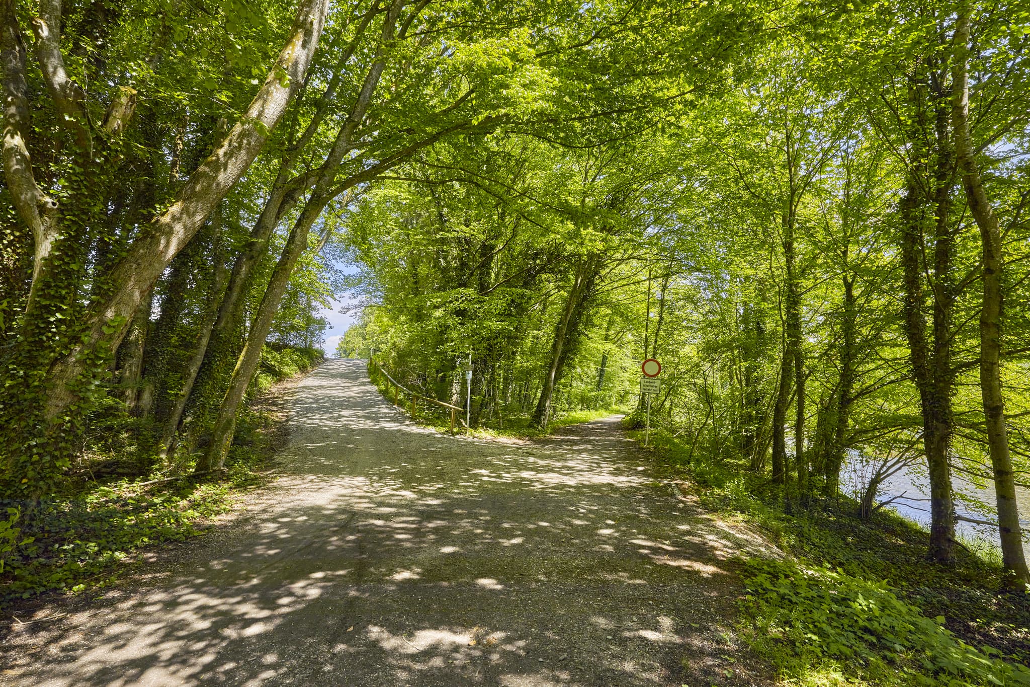Zwei Radwege im sonnigen Wald nahe Burgkirchen, Altötting, Oberbayern, Inn-Salzach. Ein Weg am Wasser, der andere bergauf. Idyllische Naturlandschaft.