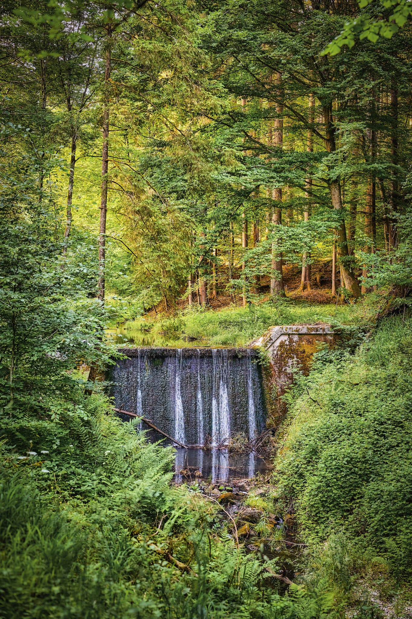 Ein idyllischer Wasserfall umgeben von dichtem Wald in Birnbach, Gemeinde Erlbach, Landkreis Altötting, Oberbayern. Landschaft, Inn-Salzach, Deutschland.