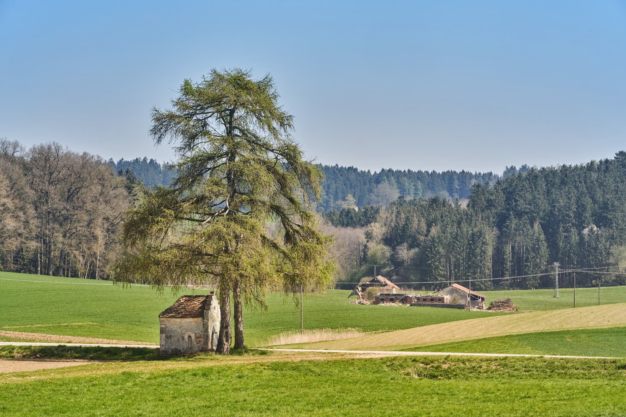 Idyllische Landschaftsaufnahme zwischen Kirchisen und Kainrading mit Feldern und Wald bei Mettenheim im Landkreis Mühldorf am Inn, Oberbayern.