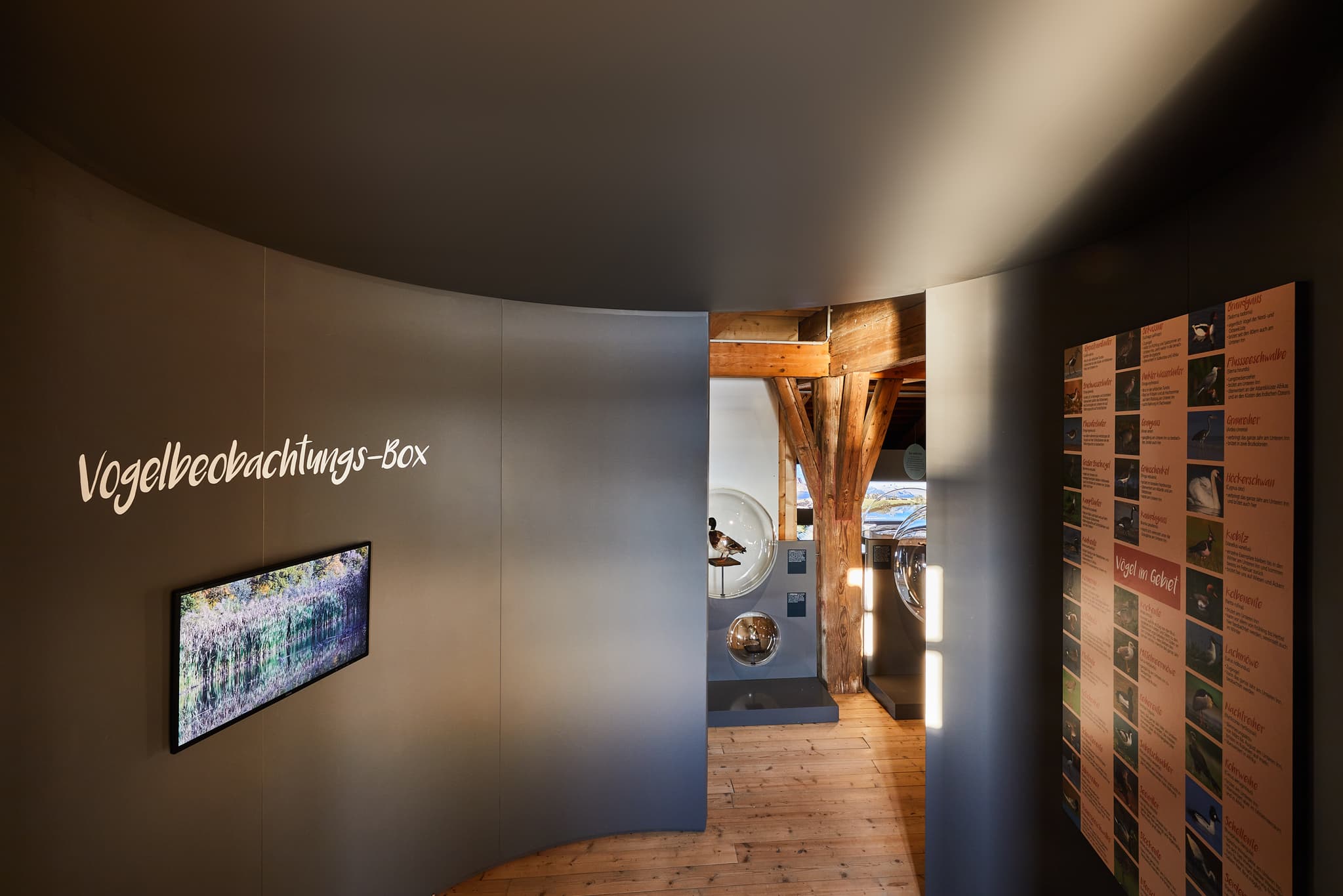 Ausstellung Salzstadl in Frauenstein Burg, Mining, Braunau am Inn, Oberösterreich. Modern gestalteter Raum mit Vogelbeobachtungs-Box, Innviertel, Österreich.