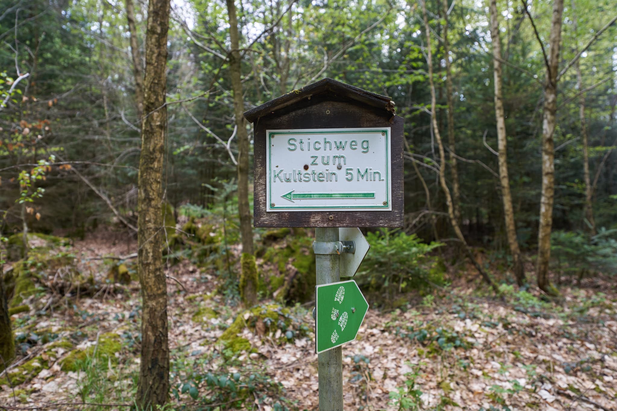 Wegweiser Kultstein bei St. Salvator, Bad Griesbach, Landkreis Passau, Niederbayern, Deutschland. Bild zeigt einen Waldweg mit Blätterboden.