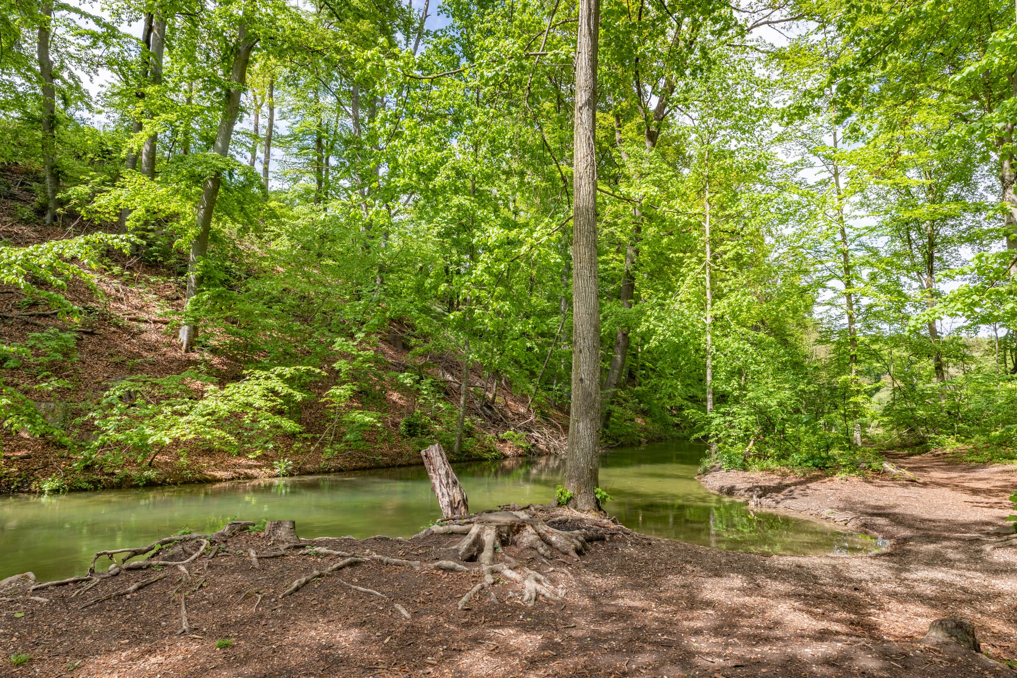 Ein idyllischer Mühlbach in Garching, Altötting. Frühlingshafte Landschaft mit Bachlauf und grüner Vegetation in Inn-Salzach, Oberbayern, Deutschland.