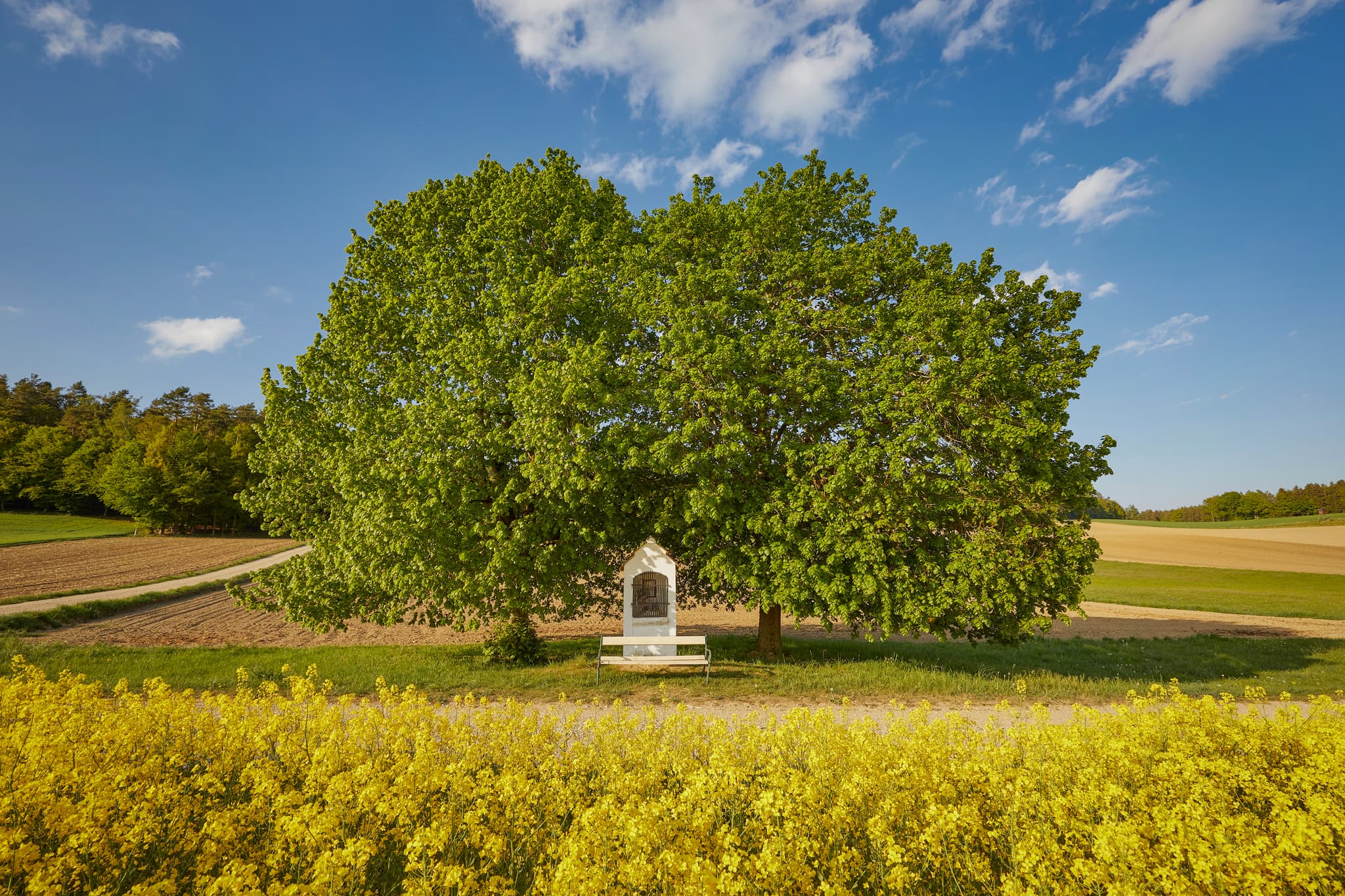 Bildstock mit Bank unter einem Baum in Erlbach, Landkreis Altötting, Oberbayern, Region Inn-Salzach, Bayern, Deutschland.