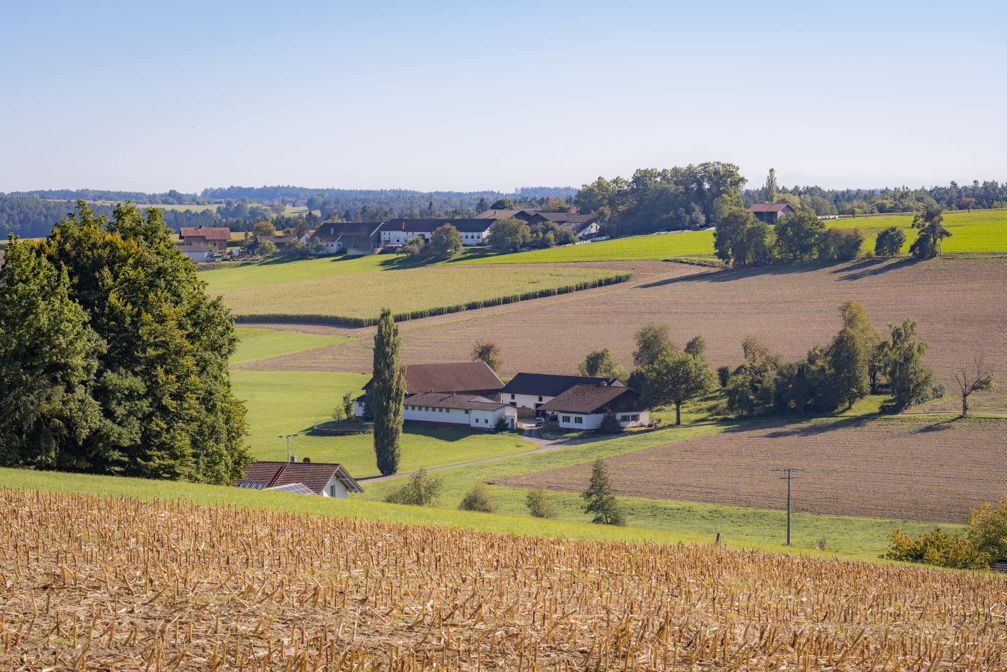Aussicht nach Apfelbach vom Wanderweg 2 zwischen Guteneck und Lapperding, Johanniskirchen, Rottal-Inn, Niederbayern. Region Holzland, Deutschland.
