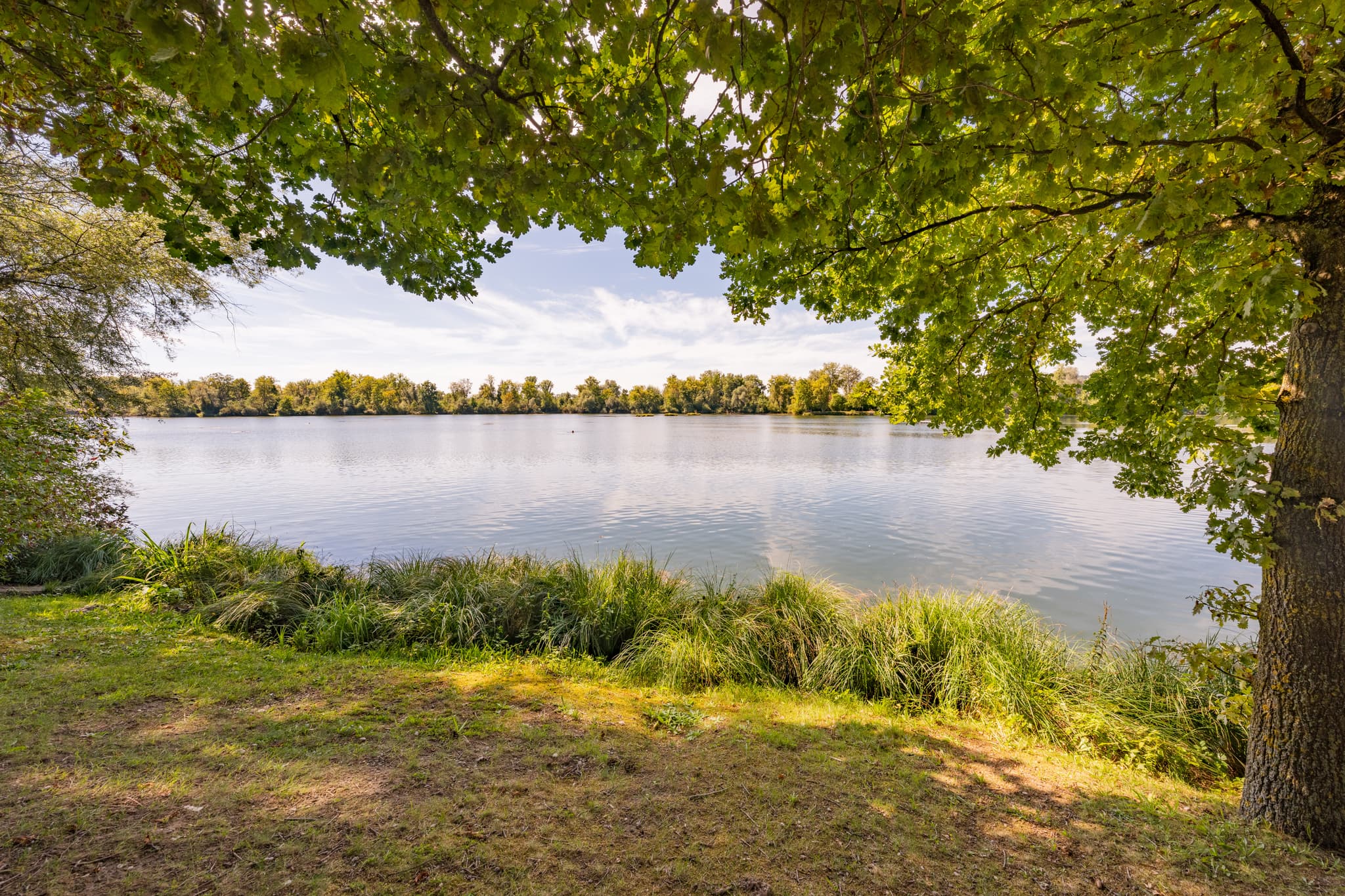 Unter schattigen Bäumen am Waldsee Lago, Badesee Simbach bei Kirchdorf am Inn im Landkreis Rottal-Inn, Niederbayern, Deutschland, gelegen im Bäderdreieck.