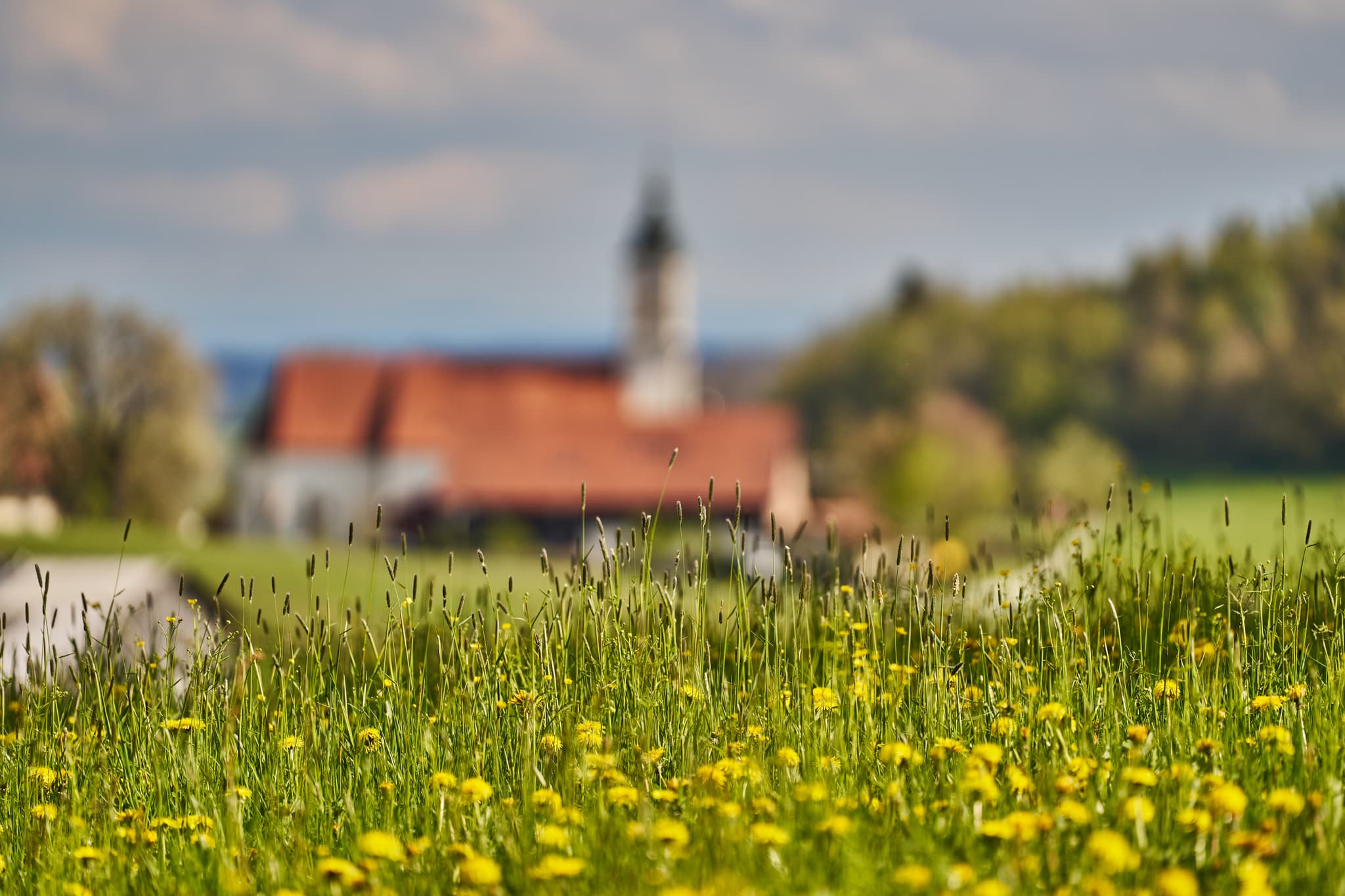 Frühlingslandschaft mit Kirche St. Wolfgang in Bad Griebsach, Landkreis Passau, Niederbayern, Deutschland. Grüne Wiesen, gelbe Blumen und ländliche Idylle.