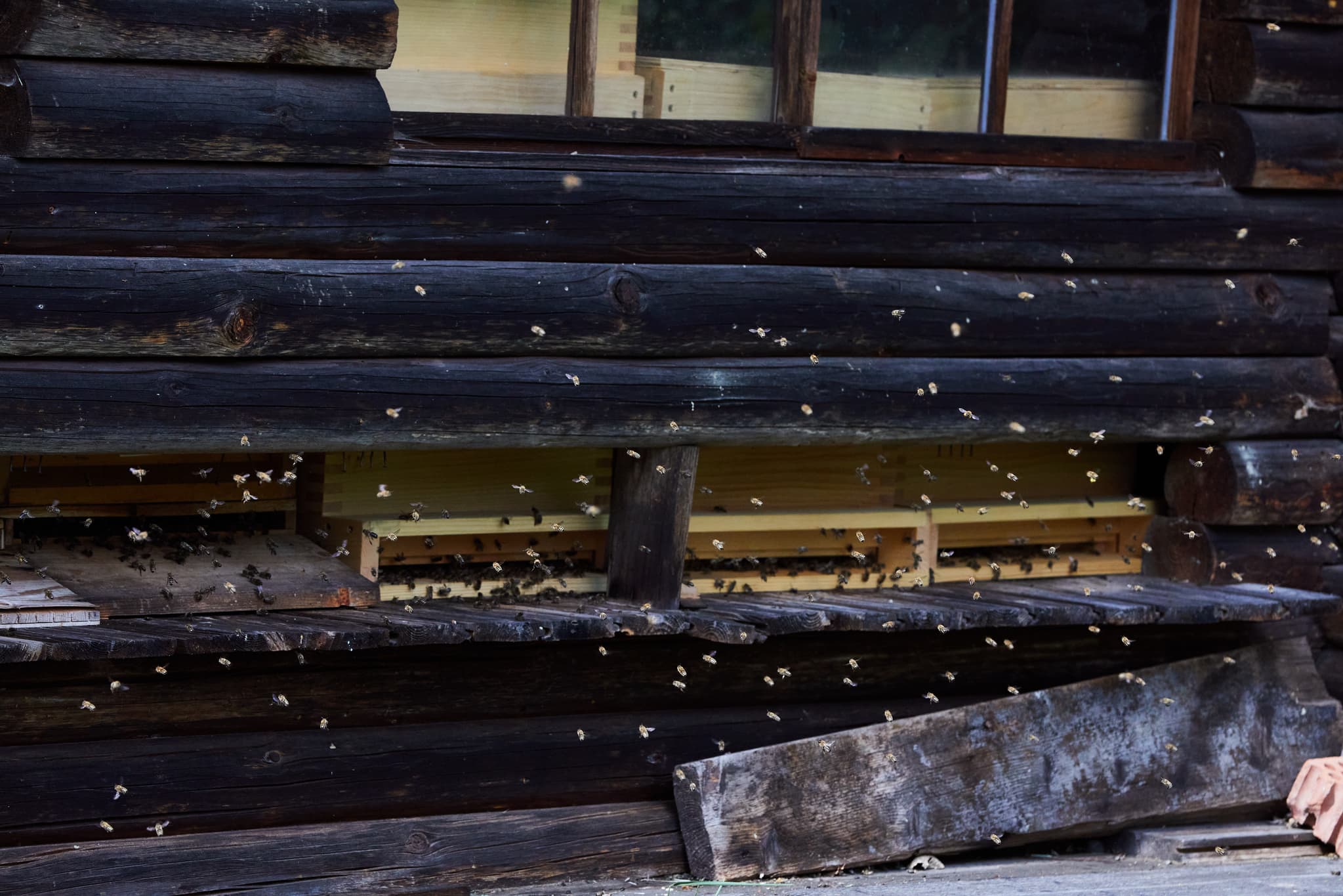 Idyllisches Bienenhaus an der Klausenkirche in Engfurt, Töging am Inn, Landkreis Altötting, Oberbayern, Inn-Salzach. Ein friedlicher Ort für Bienen.