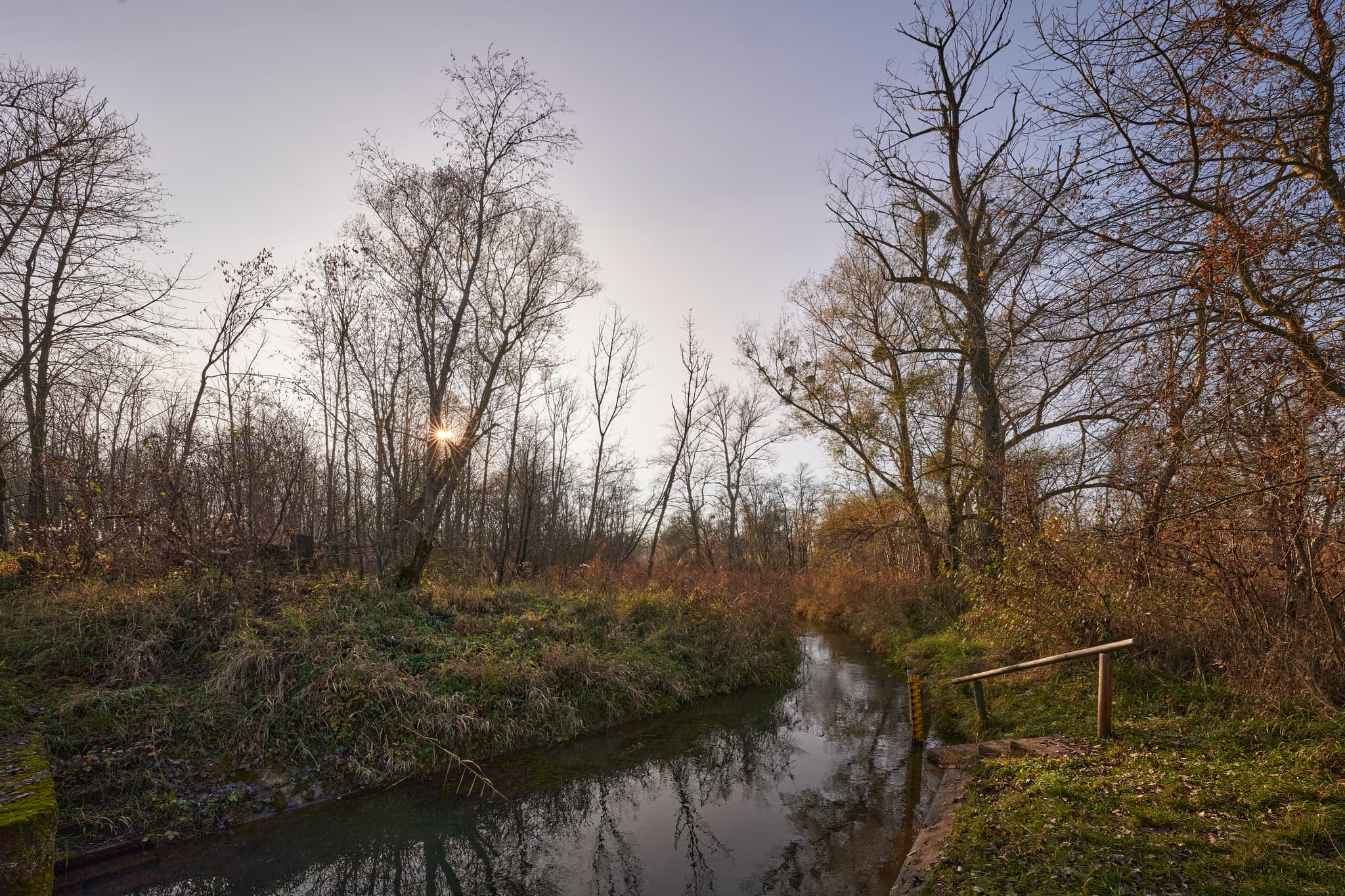 Herbstlandschaft am Gewässer in Kirchdorf am Inn, Rottal-Inn, Niederbayern. Bachlauf durch herbstliche Bäume und Vegetation, beleuchtet von Sonnenstrahlen.