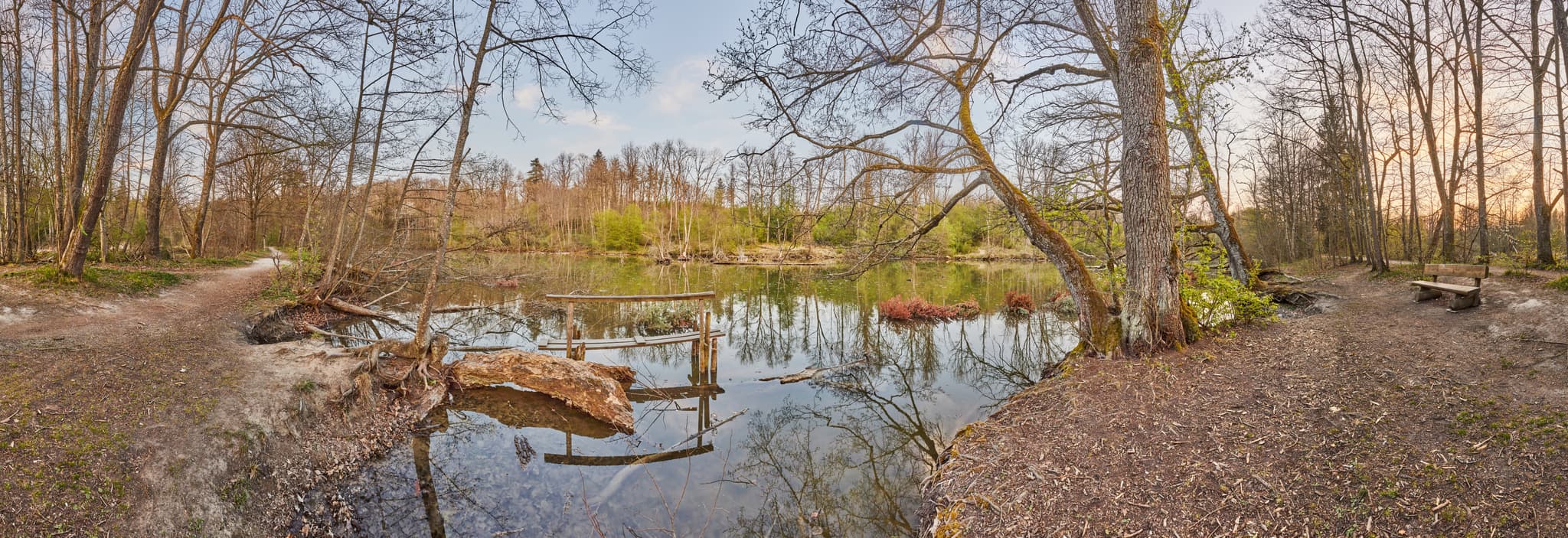Panorama vom Lichtlberger Wald in Gern, Eggenfelden im Rottal-Inn, Niederbayern. Waldsee, umgeben von Bäumen, Spazierweg. Naturoase im Holzland, Deutschland.