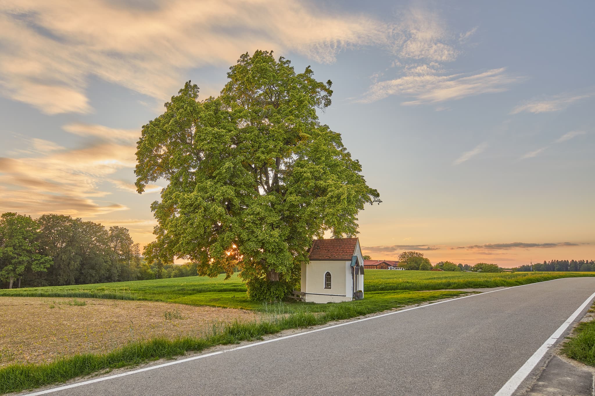 Bildstock mit Baum am Feldweg in Winterberg, Gars am Inn, Landkreis Mühldorf am Inn, Oberbayern. Ländliche Landschaft in der Region Inn-Salzach, Deutschland.