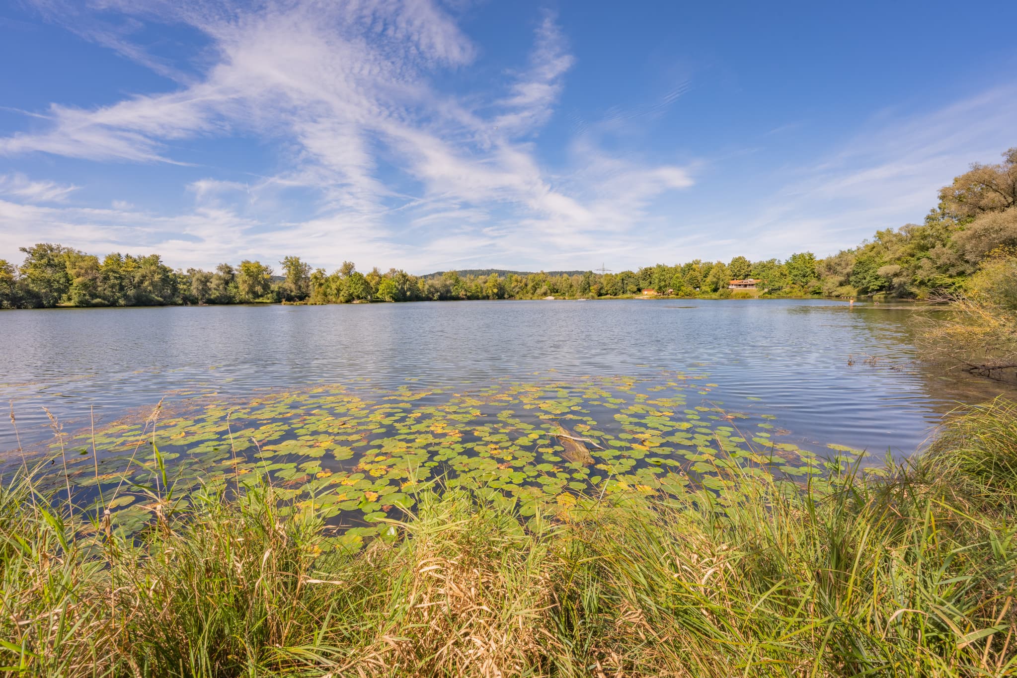 Idyllischer Waldsee mit Seerosen und Uferbewuchs bei Kirchdorf am Inn im Landkreis Rottal-Inn, Niederbayern, Deutschland. Einladender Badesee im Bäderdreieck.