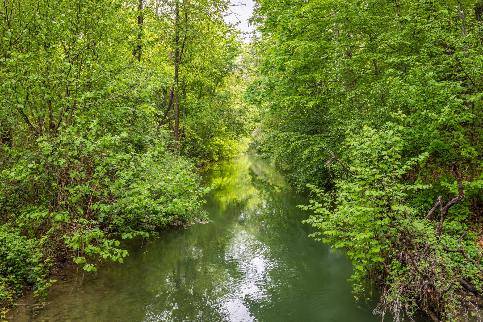 Der Mühlbach, ein idyllischer Bachlauf umgeben von dichtem, frischem Grün in Garching, Landkreis Altötting, Oberbayern, Region Inn-Salzach, Deutschland.