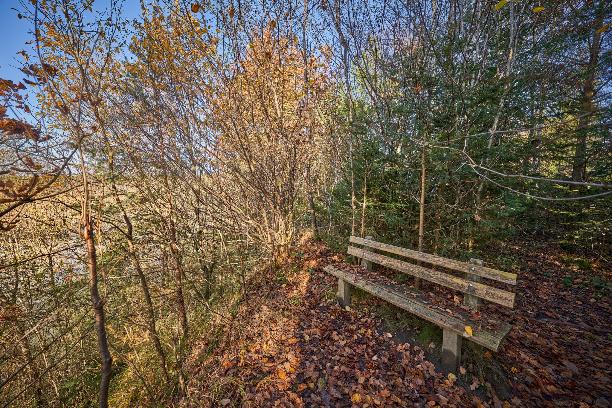 Prallhang Inn Ebing, eine malerische Naturlandschaft bei Polling im Landkreis Mühldorf am Inn, Oberbayern, Region Inn-Salzach, Deutschland.