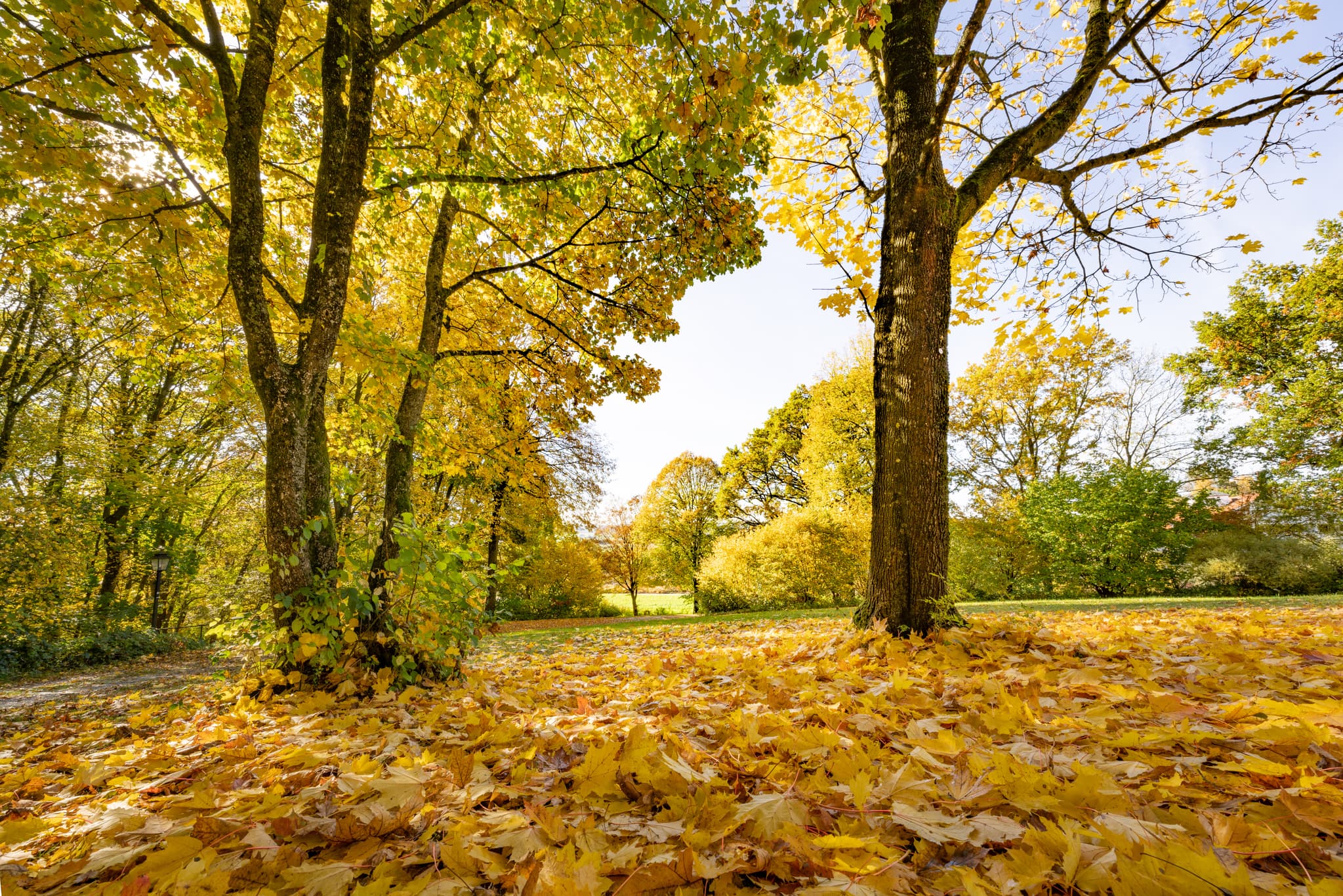 Idyllischer Kurpark im Herbst in Bad Griesbach im Rottal, Landkreis Passau, Niederbayern, Deutschland. Einladende Herbstlandschaft mit bunten Blättern.