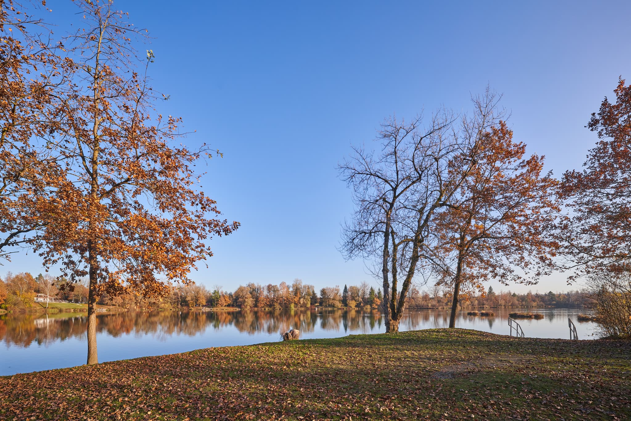 Herbstlandschaft am Waldsee Lago, Kirchdorf am Inn, Landkreis Rottal-Inn, Niederbayern. Bäume mit braunem Laub und klarer Himmel spiegeln sich im Wasser.