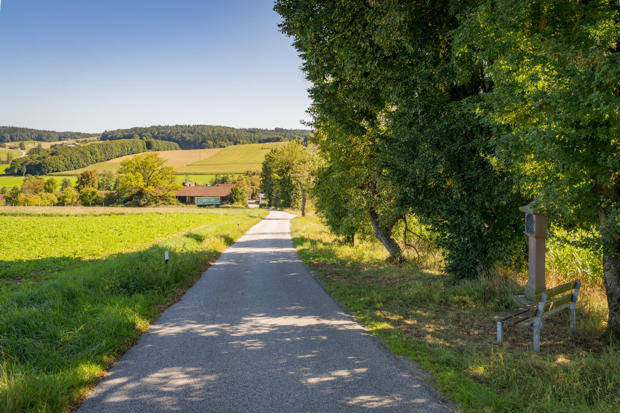 Straße nach Guteneck, Johanniskirchen, Sulzbachtal, Landkreis Rottal-Inn, Niederbayern, Holzland, Deutschland, Bildstock mit Bank am Wegesrand.