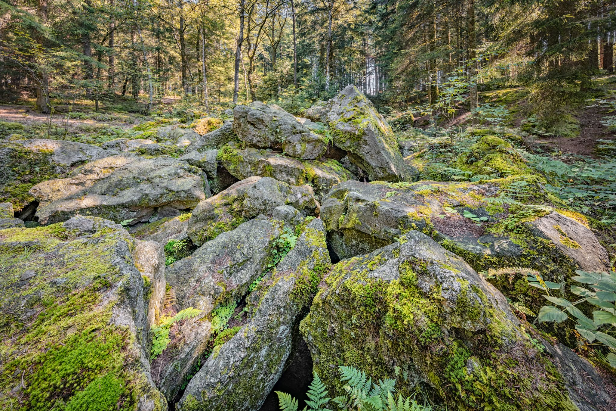 Geotop im Waldgebiet mit großen Geröll-Steinen aus der Eiszeit in Voglarn bei Triftern, Rottal-Inn, Niederbayern, Holzland, Bäderdreieck, Deutschland.