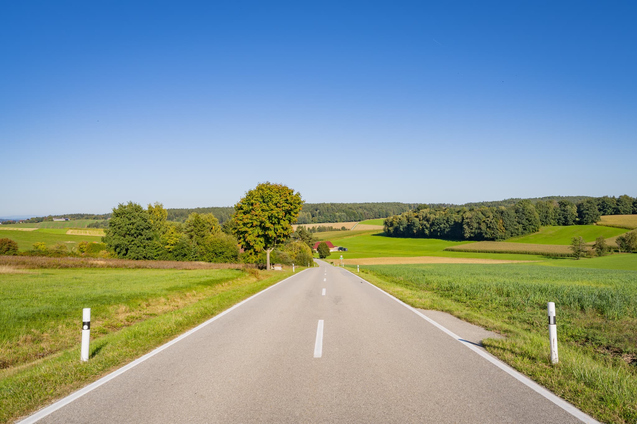 Landstraße von Baumgarten nach Eitzenham, Dietersburg, Rottal-Inn, Niederbayern. Grüne Felder, Wälder, Hügel prägen Landschaft im  Holzland, Deutschland.
