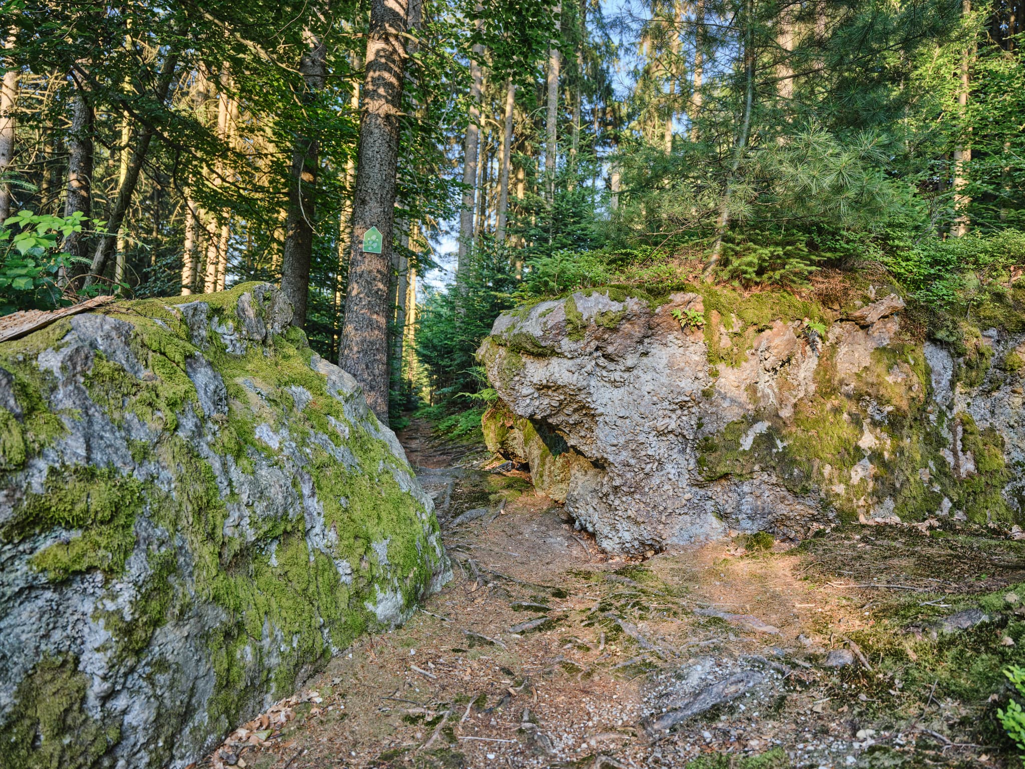 Waldweg zum Kultstein mit Felsen in St. Salvator, Bad Griesbach, Landkreis Passau, Niederbayern. Bewachsener Pfad durch einen dichten Wald mit großen Steinen.