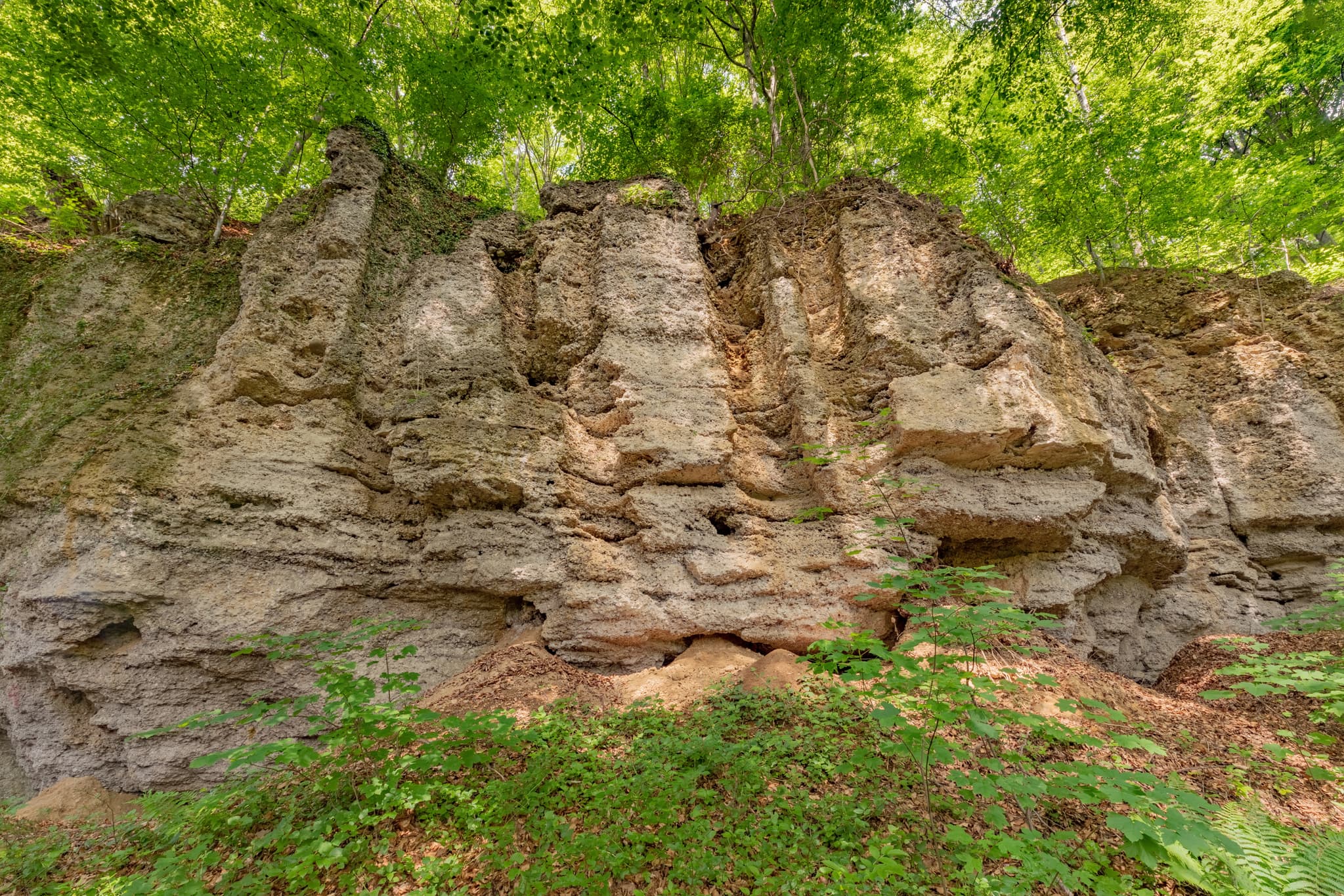Panorama der Geologischen Orgeln Schroffen, Oberschroffen, Unterneukirchen, Landkreis Altötting, Oberbayern, Region Inn-Salzach, Deutschland.