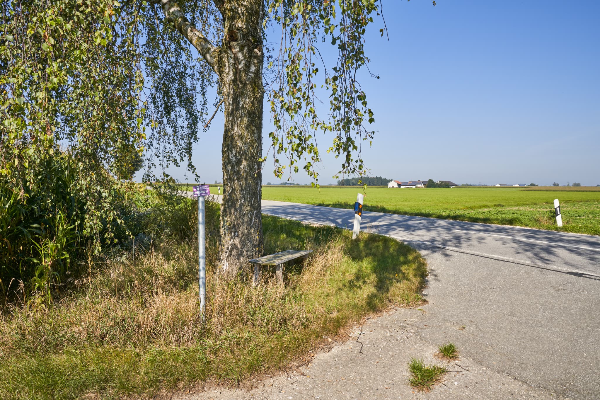 Birke mit Pilgerweg-Wegweiser und Holzbank in Kastl, Altötting, Oberbayern, Inn-Salzach, Deutschland. Ländliche Landschaft mit Feldern unter blauem Himmel.