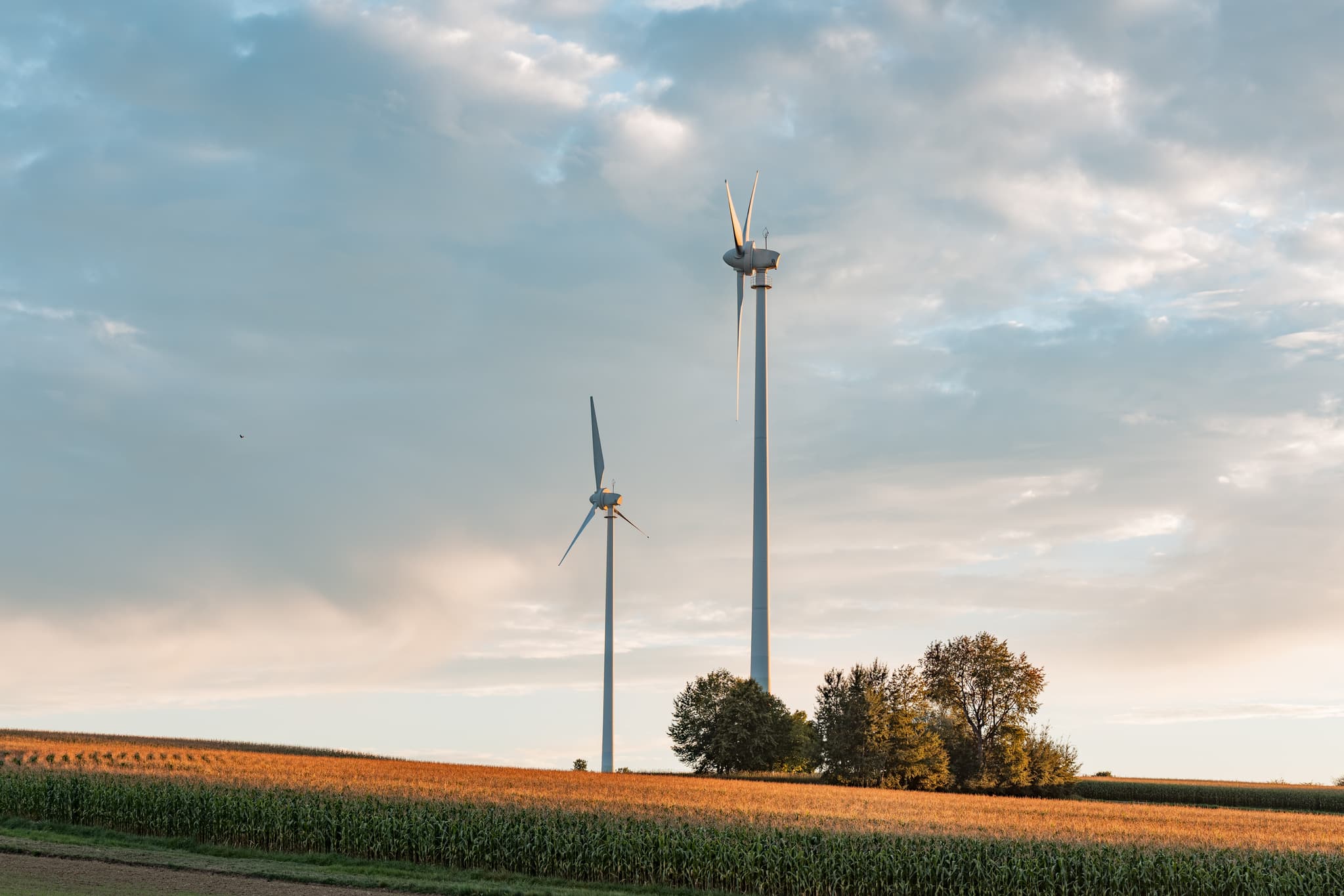 Windkraftanlagen bei Dirnaich, Gangkofen, Landkreis Rottal-Inn, Niederbayern. Ländliche Landschaft im Holzland, Deutschland. Energieerzeugung bei Dämmerung.