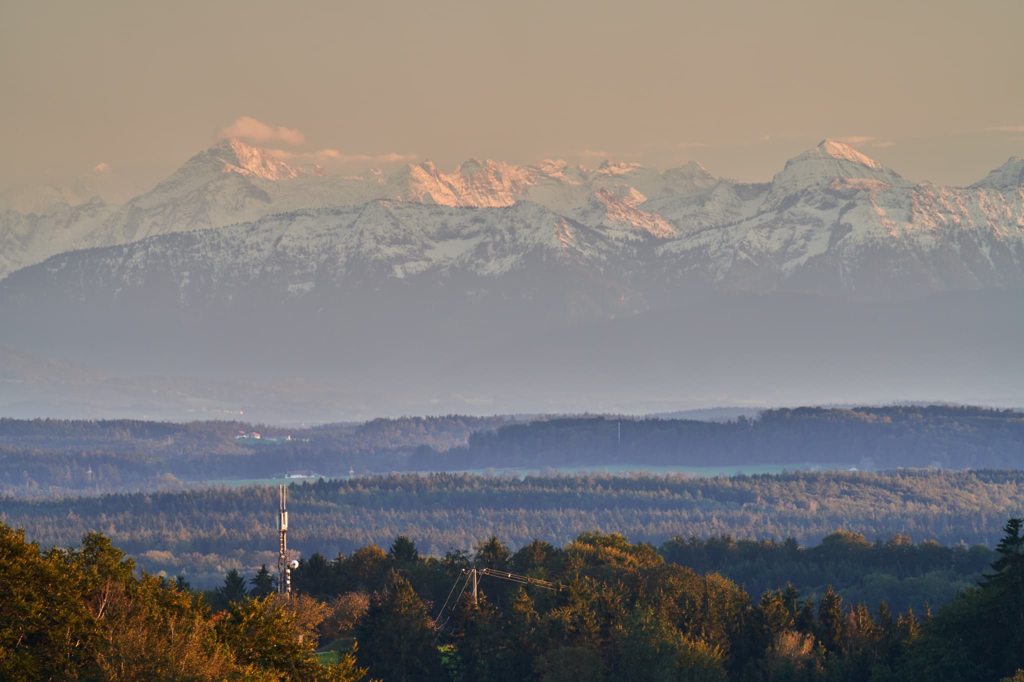 Aussicht Hoheneck bei Reischach, Altötting, Oberbayern, Inn-Salzach, Deutschland. Im Vordergrund Bäume und ein Sendemast, dahinter Alpen.
