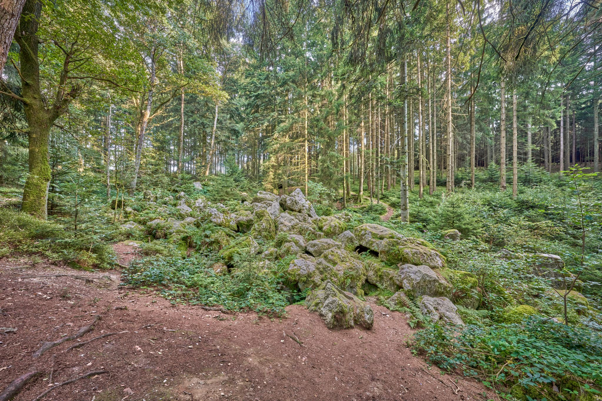 Geotop im Waldgebiet mit großen Geröll-Steinen aus der Eiszeit in Voglarn bei Triftern, Rottal-Inn, Niederbayern, Holzland, Bäderdreieck, Deutschland.