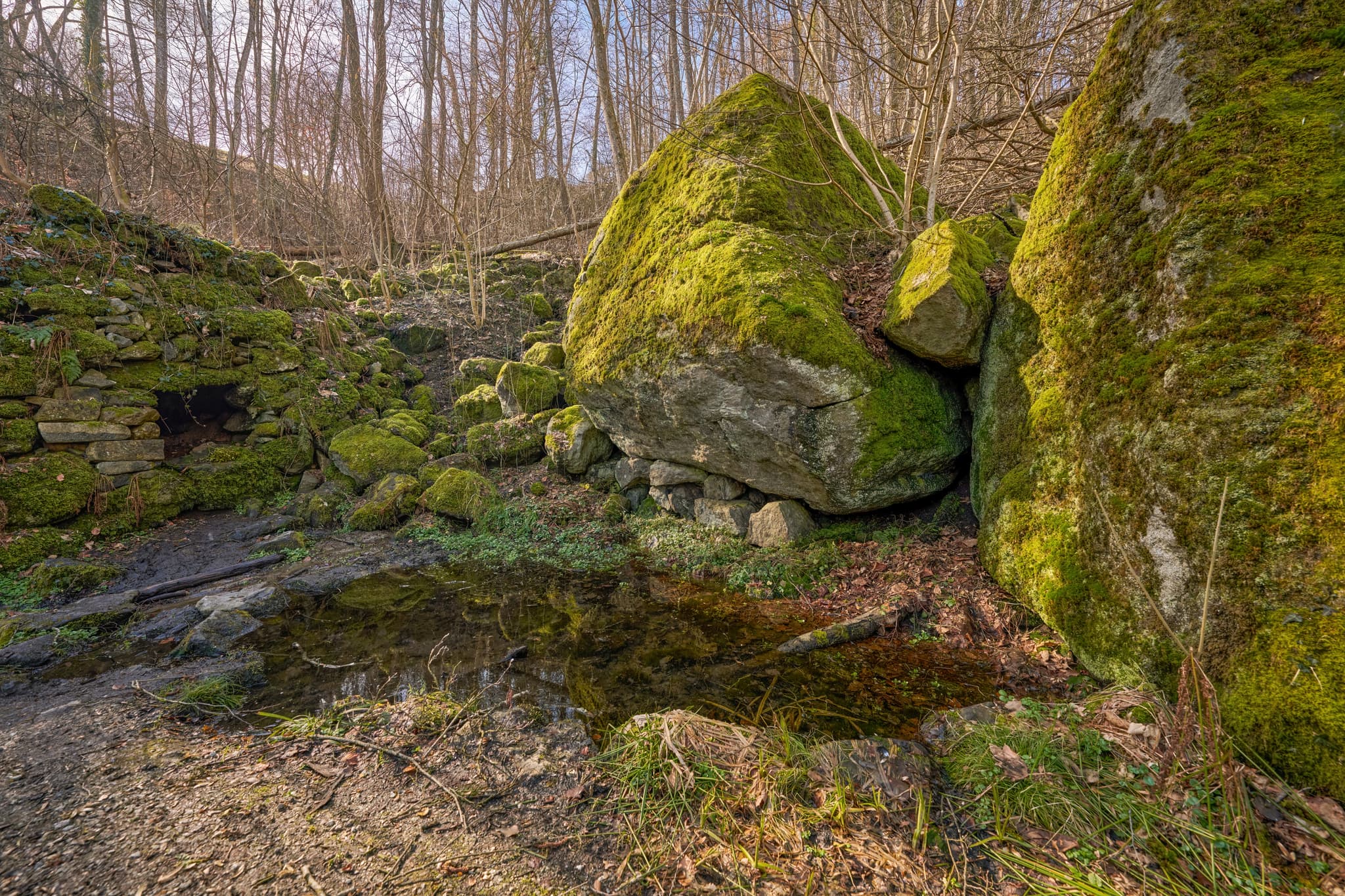 Moosbewachsene Felsen und Grotte im Wald von Neuburg am Inn, Landkreis Passau. Naturaufnahme in Niederbayern, Region Donau-Wald, Deutschland.