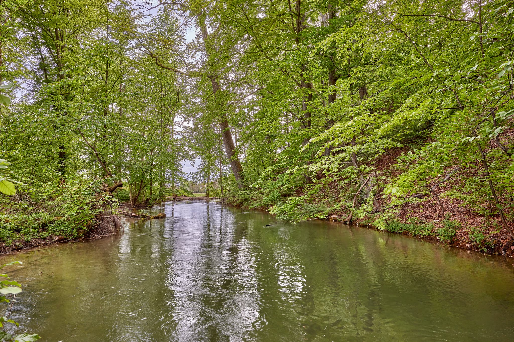 Mühlbach, Garching, Altötting, Oberbayern, Inn-Salzach, Deutschland. Grüne Waldlandschaft mit fließendem Wasser und Spiegelungen. Ruhige Naturidylle.