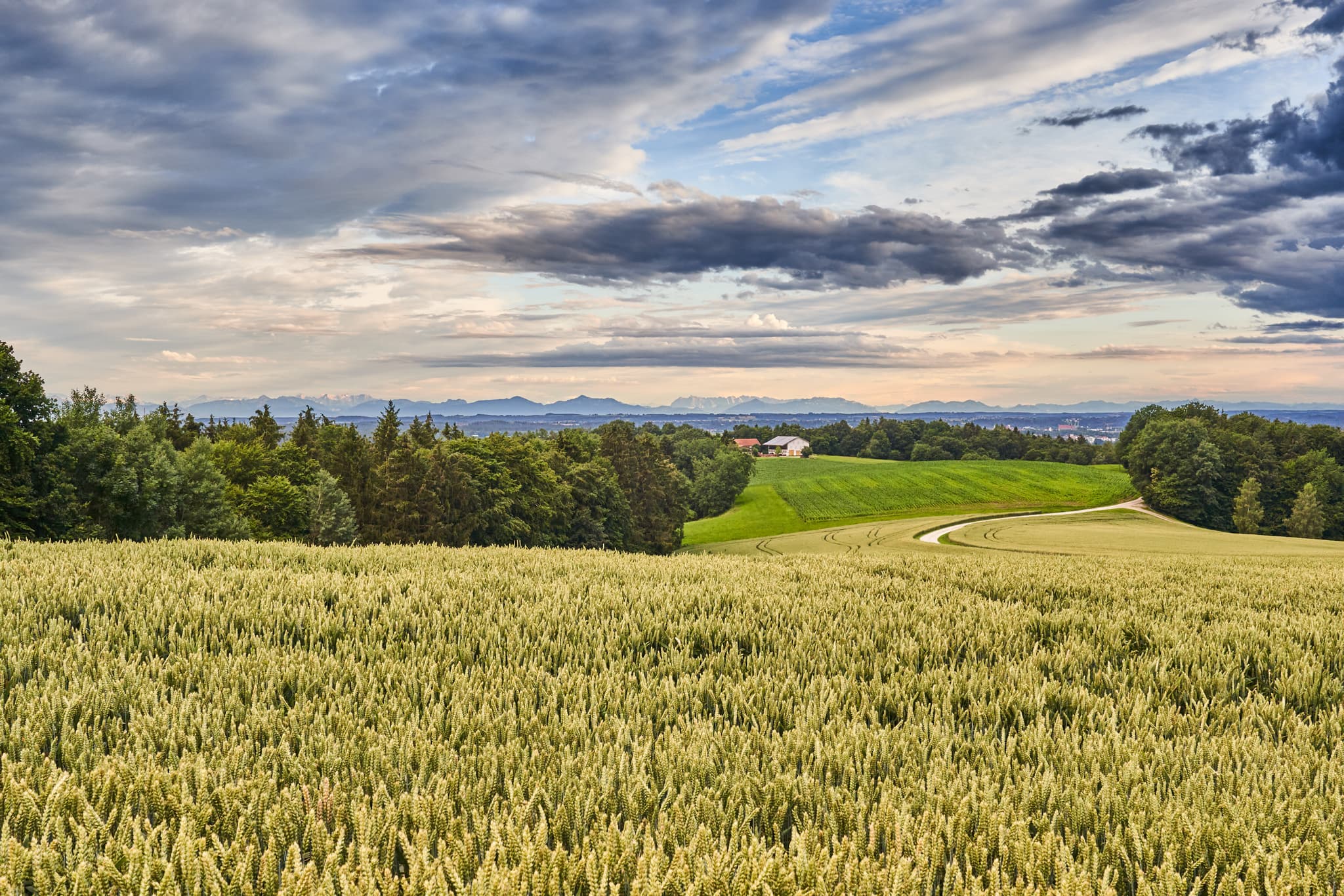 Aussicht über Weizenfelder und Hügellandschaft bei Reischach, Gemeinde im Landkreis Altötting, Oberbayern, Region Inn-Salzach, Bayern, Deutschland.