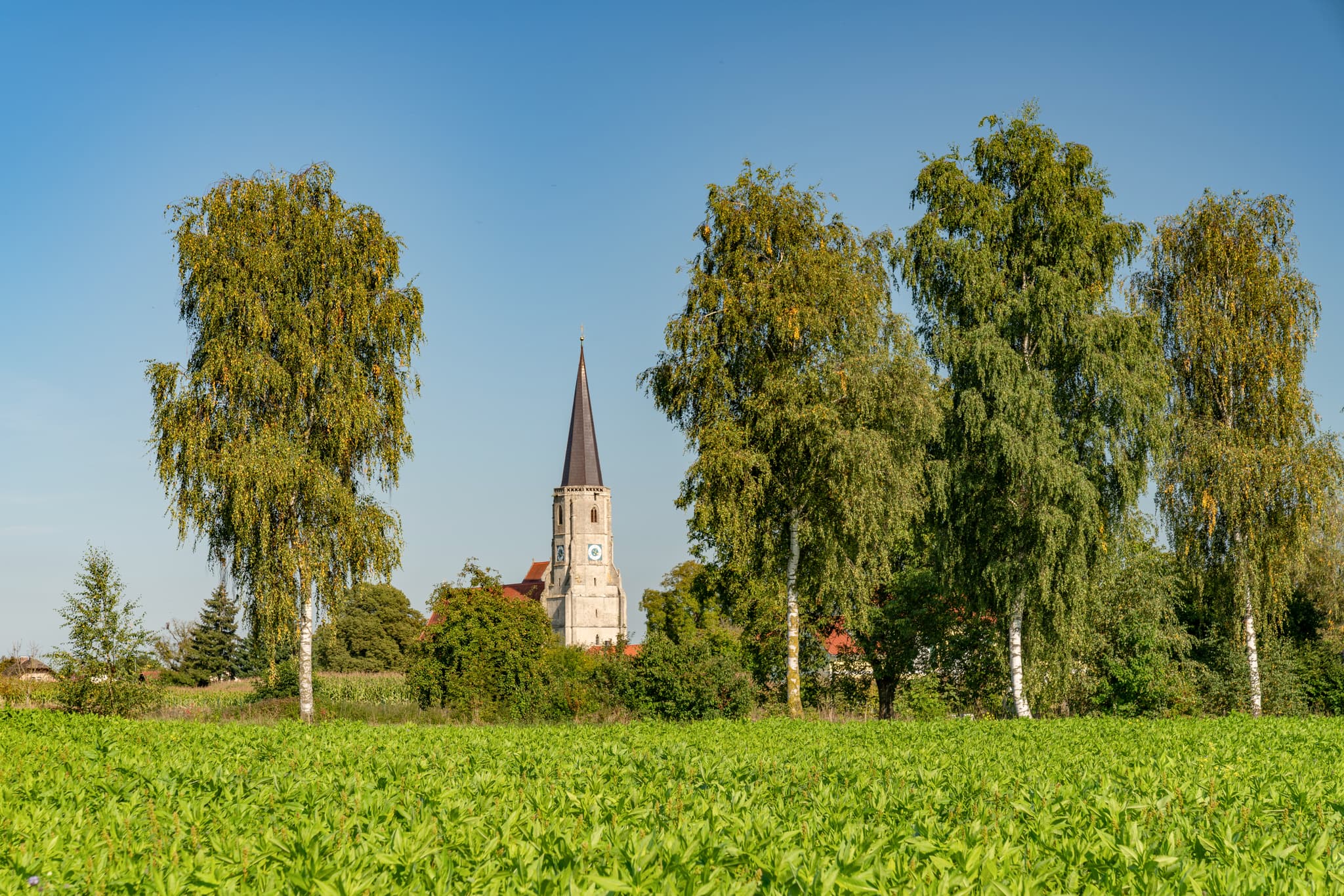 Die Wallfahrtskirche St. Leonhard in Aigen am Inn, Bad Füssing, Landkreis Passau, Niederbayern, Donau-Wald, Deutschland,