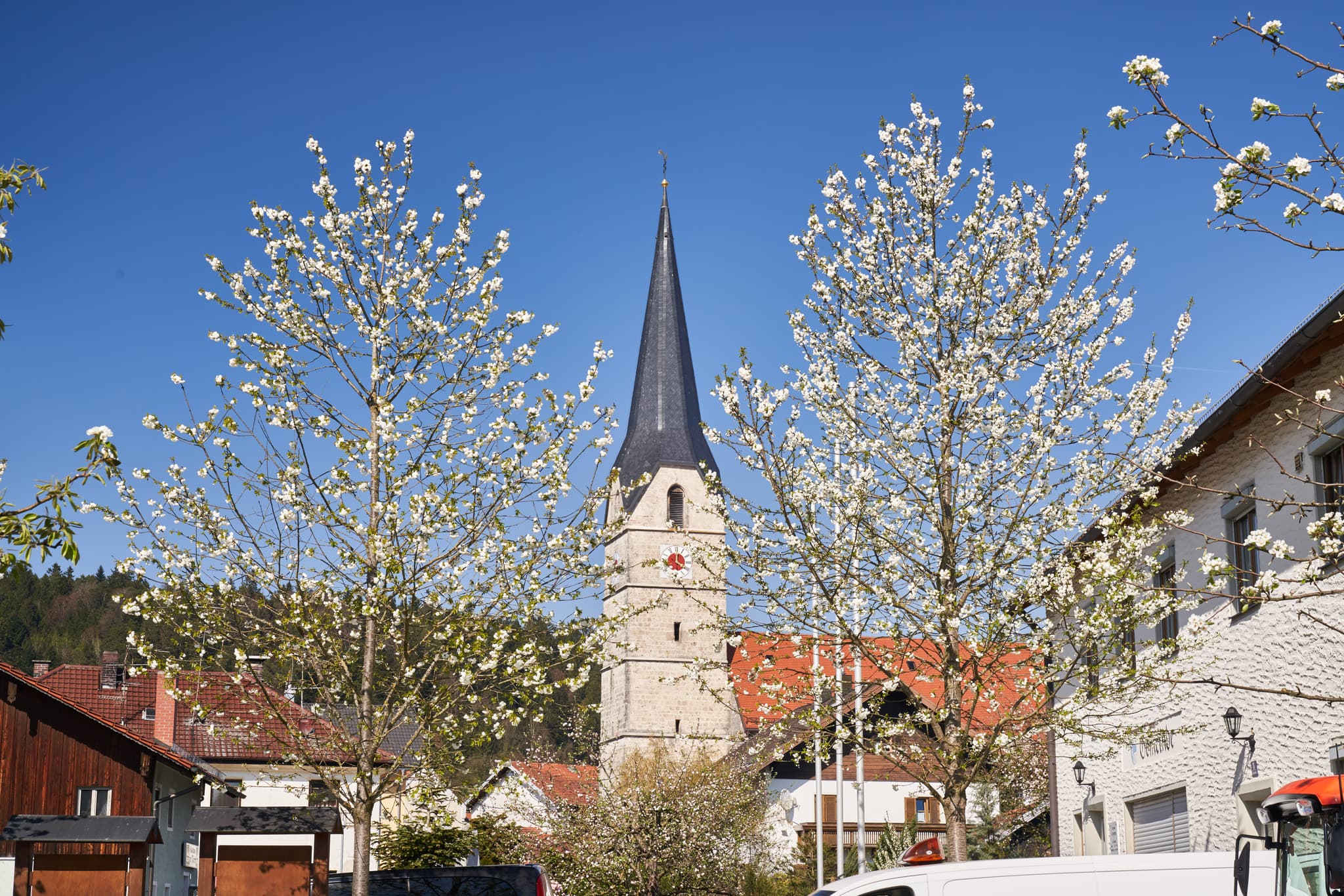 Der Dorfplatz in Stammham, Altötting, Oberbayern, präsentiert sich mit der Kirche, blühenden Bäumen und traditionellen Häusern der Region Inn-Salzach.