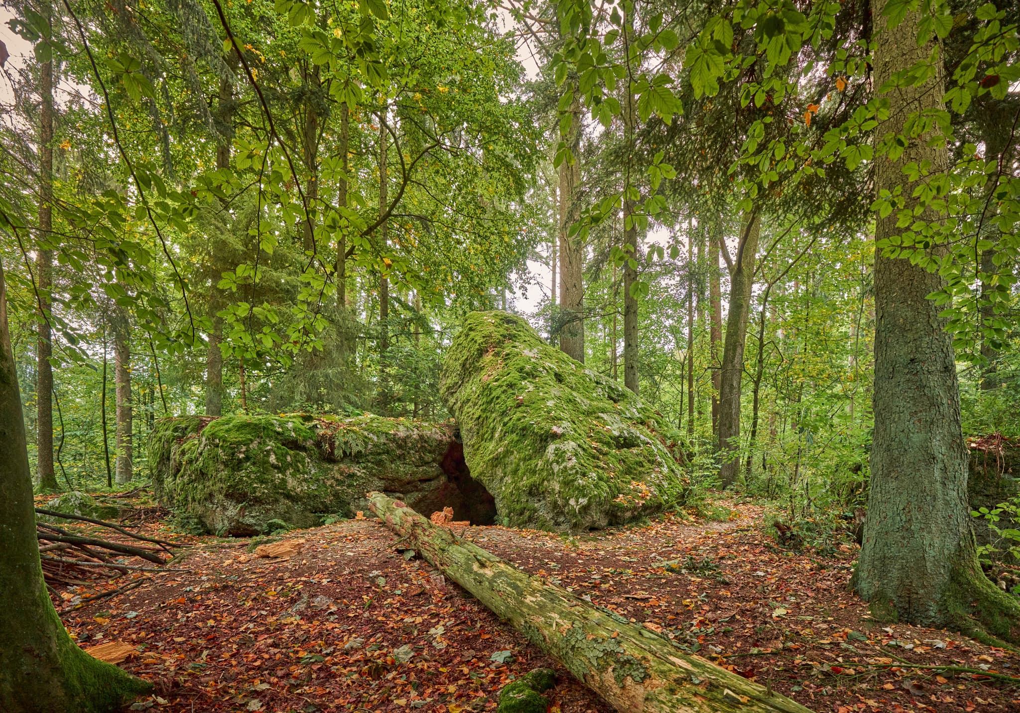 Teufelsstein in Bad Griesbach, Landkreis Passau, Niederbayern, Bayern, Deutschland. Das Bild zeigt Details der Felsstrukturen mit Farbreste.