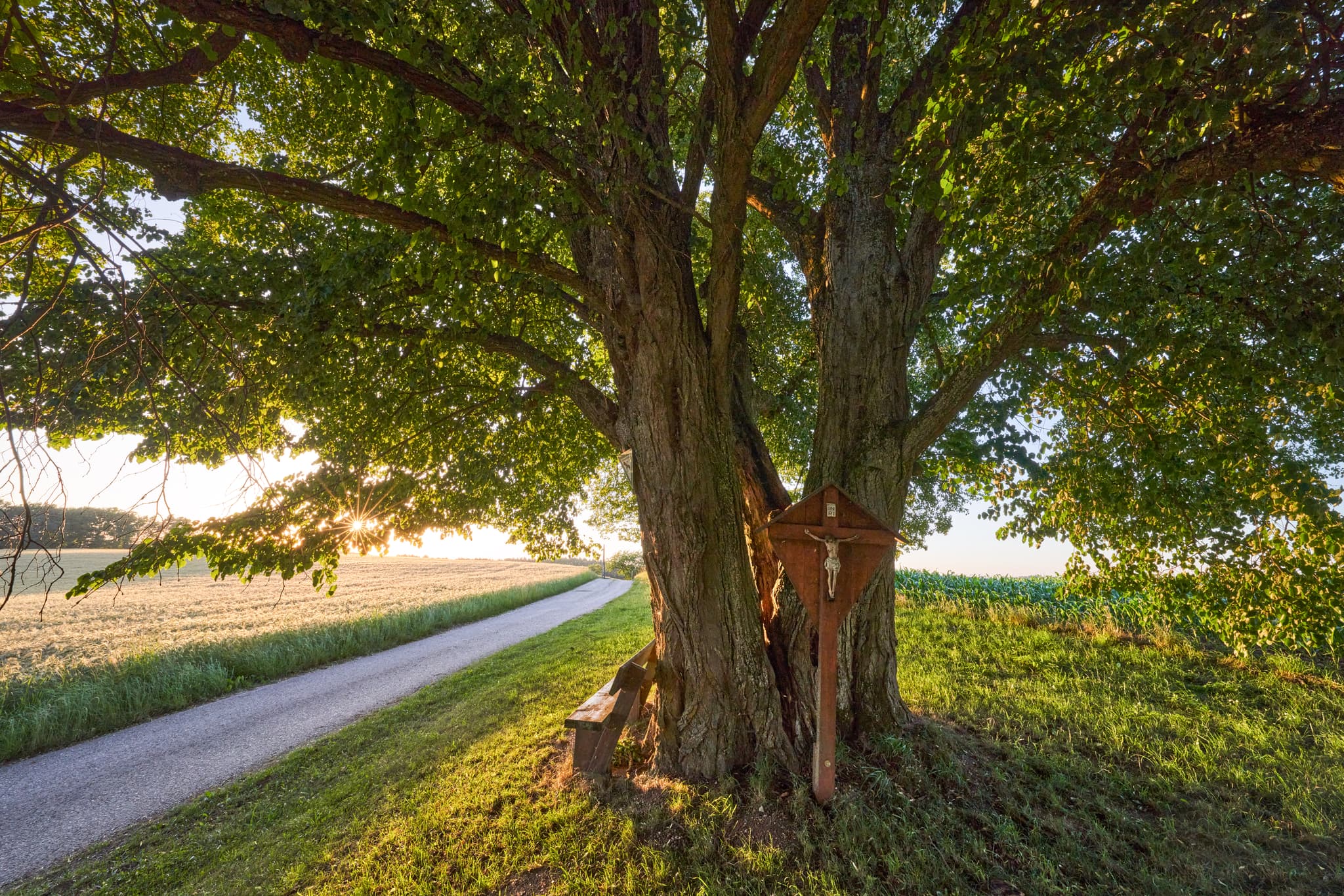 Idyllisches Wegkreuz unter zwei Bäumen am Feldrand in Vilseck Linde, Erlbach. Landkreis Altötting, Oberbayern, Deutschland. Ruhige Landschaft Inn-Salzach.