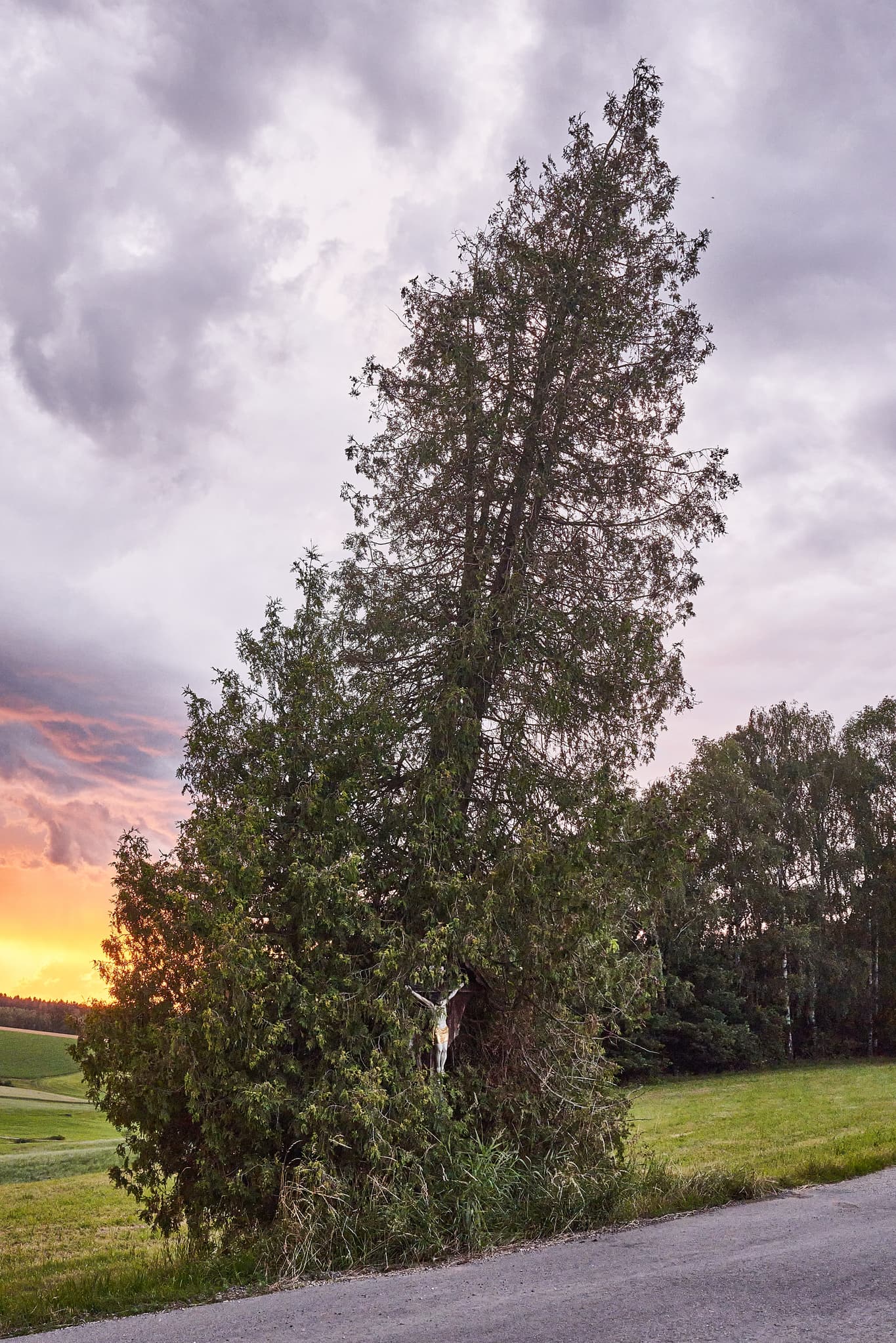 Ein Wegkreuz an einem Baum am Feldrand bei Sonnenuntergang bei Arbing, Gemeinde Reischach im Landkreis Altötting, Oberbayern, Holzland, Deutschland.