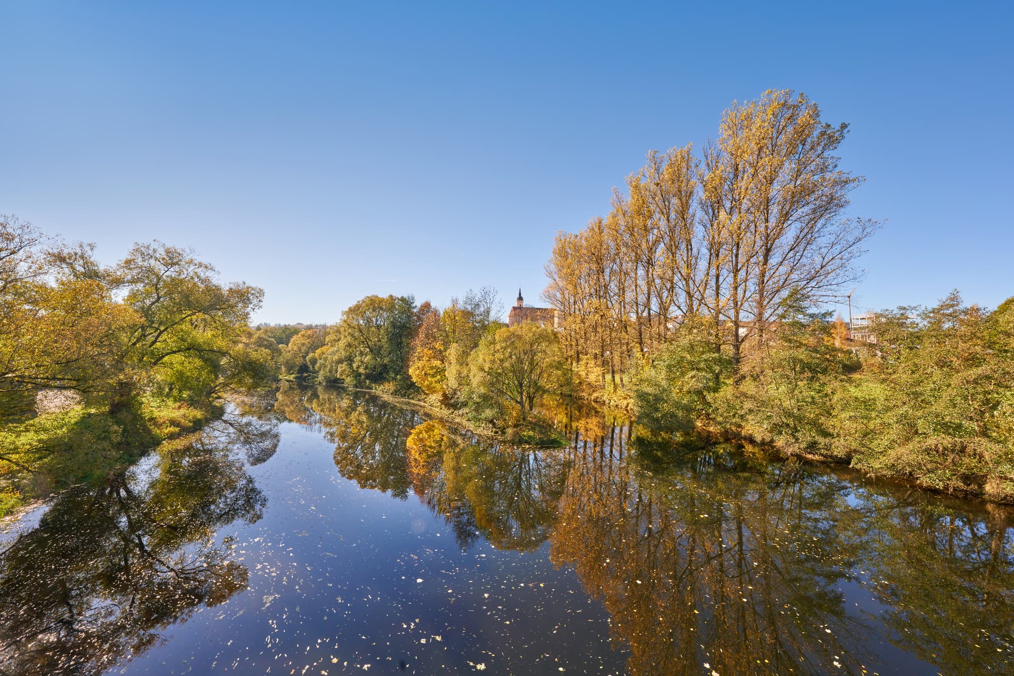 Herbstliche Flusslandschaft am Schwarzen Regen bei Viechtach, Landkreis Regen. Bäume und Flussufer im Bayerischen Wald, Niederbayern, Deutschland.