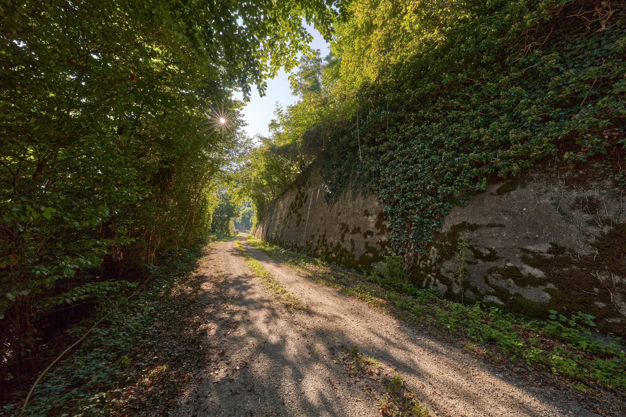 Weg durch grünen Naturtunnel mit alter, efeubewachsener Mauer. Gelegen in Heilig Kreuz Marienberg, Burghausen, Landkreis Altötting, Oberbayern, Inn-Salzach.