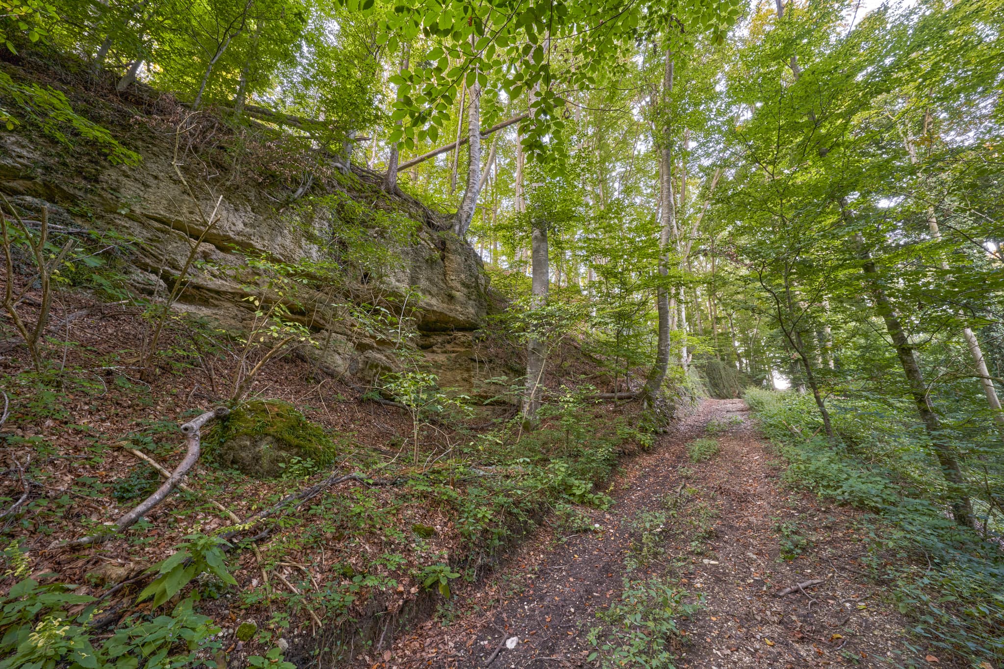 Geologeische Orgeln in Klaffl, Kastl, Altötting, Oberbayern. Markante Felsformation mit Naturpfad im Wald. Teil der Region Inn-Salzach, Deutschland.
