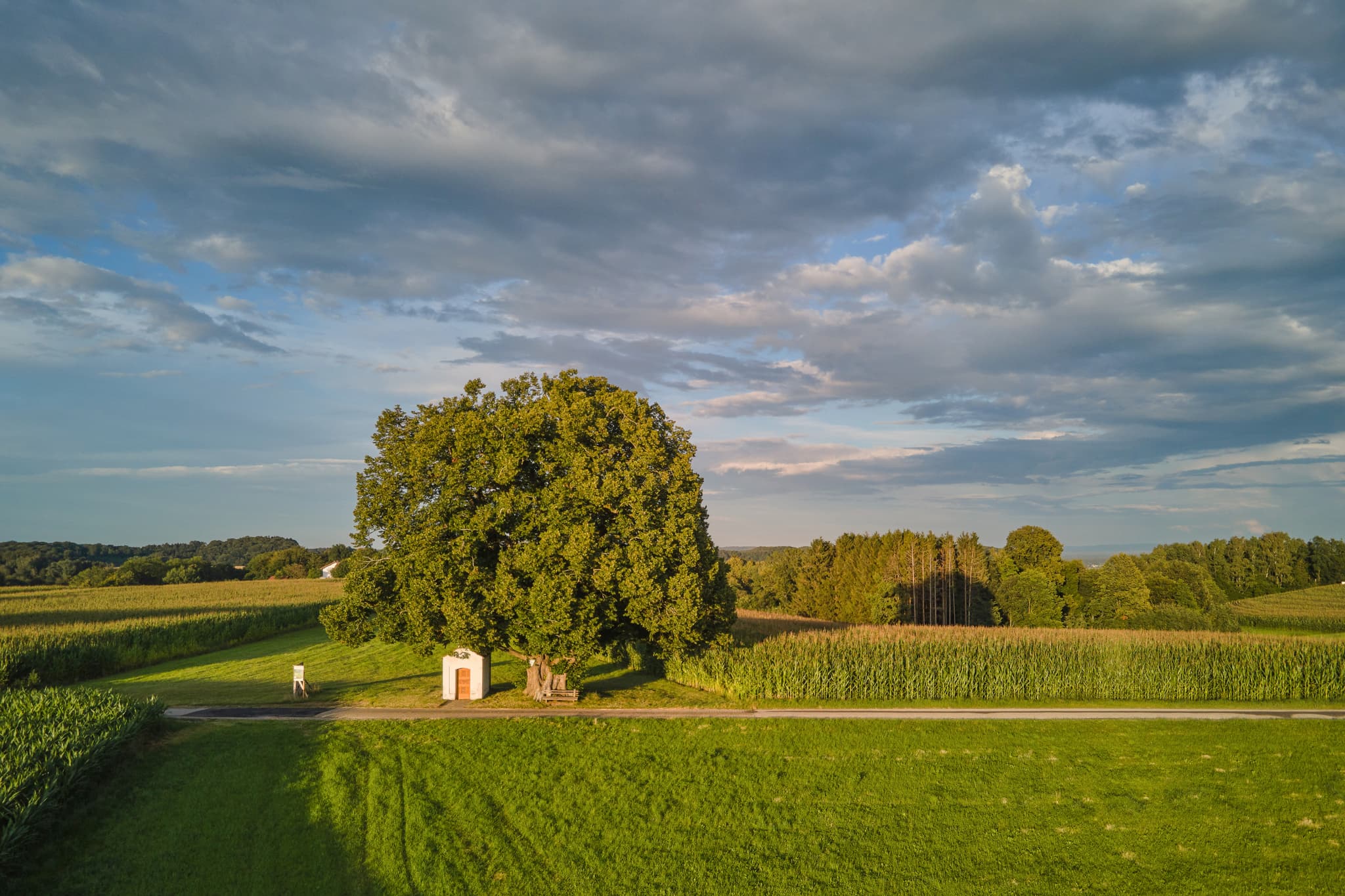 Idyllische Kapellenlinde mit Kapelle und Baum, umgeben von Wiesen und Feldern in Berg, Perach, Landkreis Altötting, Oberbayern, Region Inn-Salzach, Deutschland.