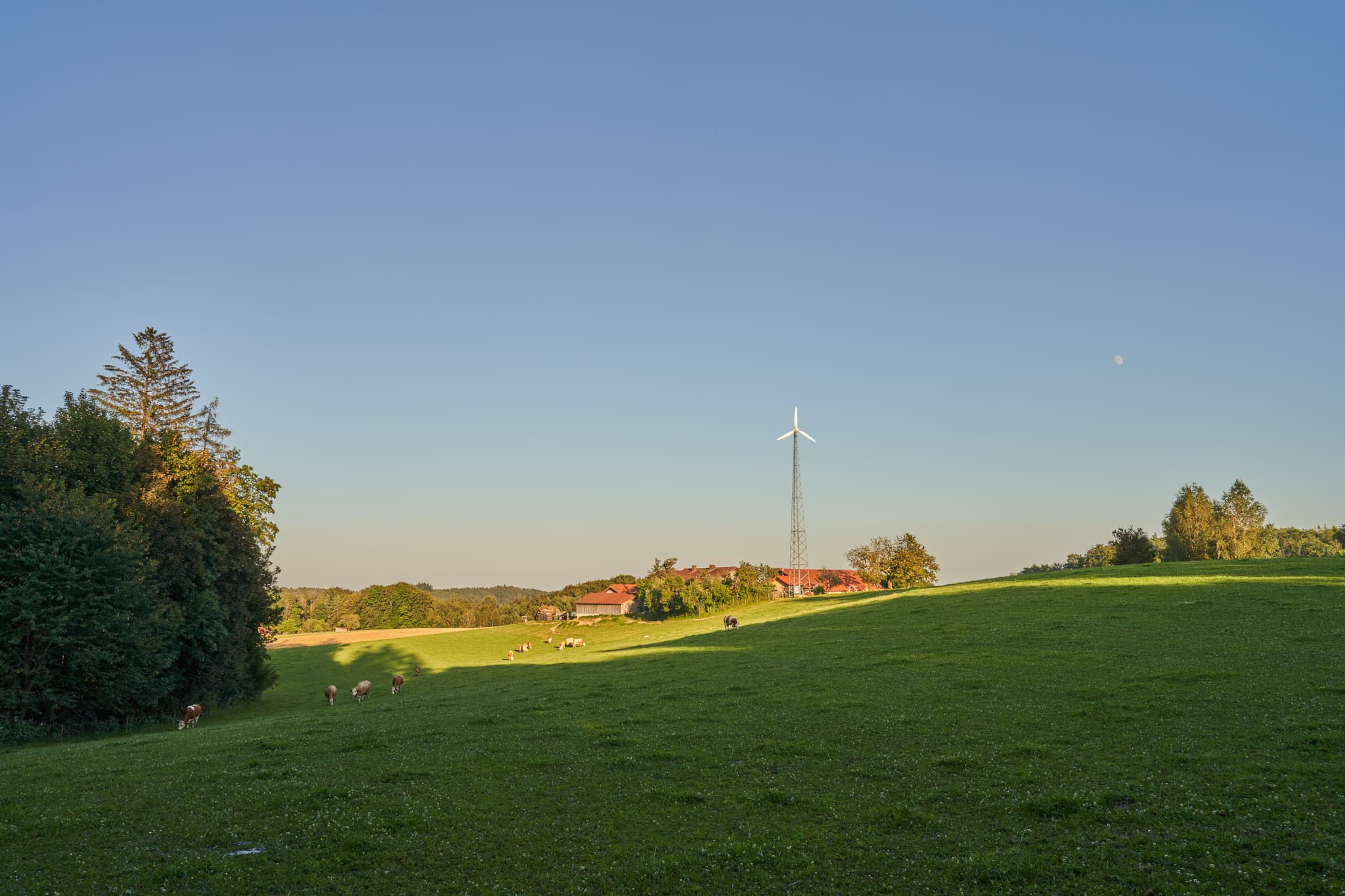 Weite, grüne Landschaft mit sanften Hügeln nahe Kirchdorf am Inn, Landkreis Rottal-Inn, Niederbayern, Holzland. Weideland, Bäume, Bauernhof, Windrad und Kühe.