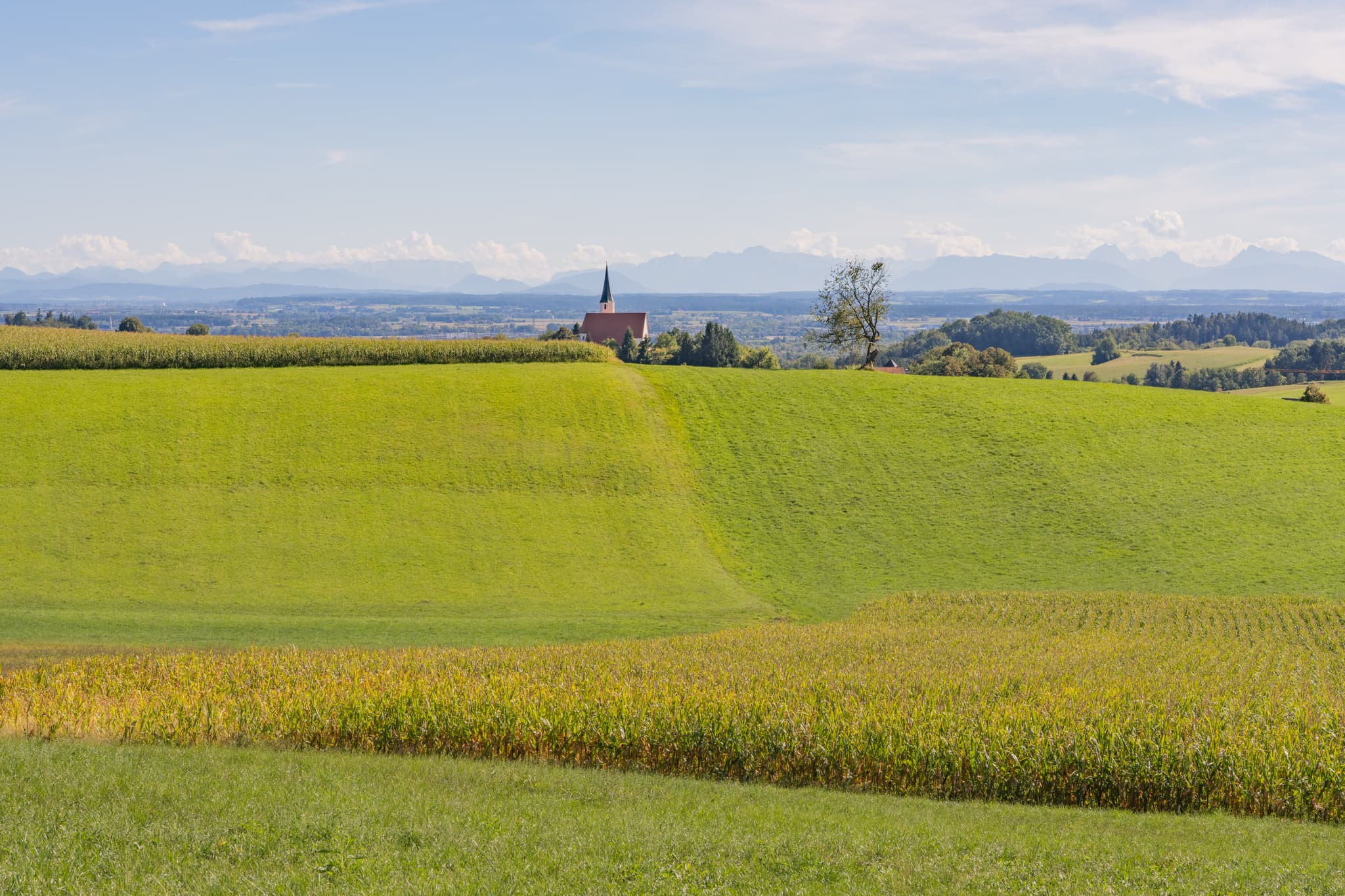 Pfarrkirche St. Georg und Urban in Stubenberg, Rottal-Inn, Niederbayern, Deutschland. Ländliche Hügellandschaft im Holzland mit Feldern, Alpenblick.