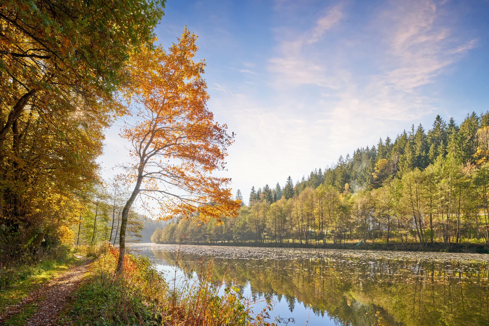 Herbstliche Uferlandschaft am Schwarzen Regen, Gumpenried-Asbach, Geiersthal, Landkreis Regen, Niederbayern. Malerische Natur im Bayerischen Wald, Deutschland.