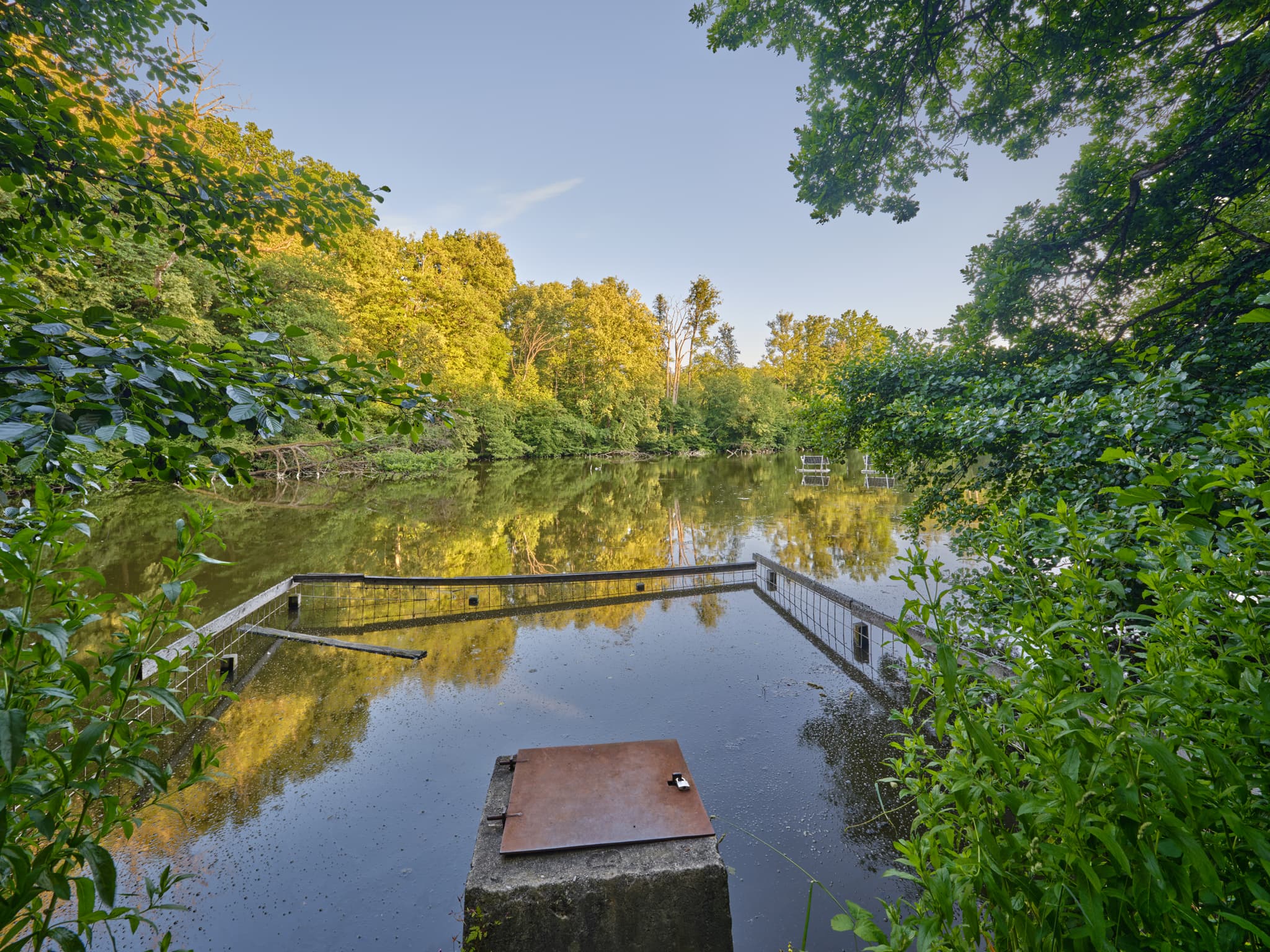 Idyllischer Teich im Lichtlberger Wald, Eggenfelden, Niederbayern. Grüne Natur des Holzlands Rottal-Inn umgibt das Gewässer, dessen Oberfläche Bäume spiegelt.