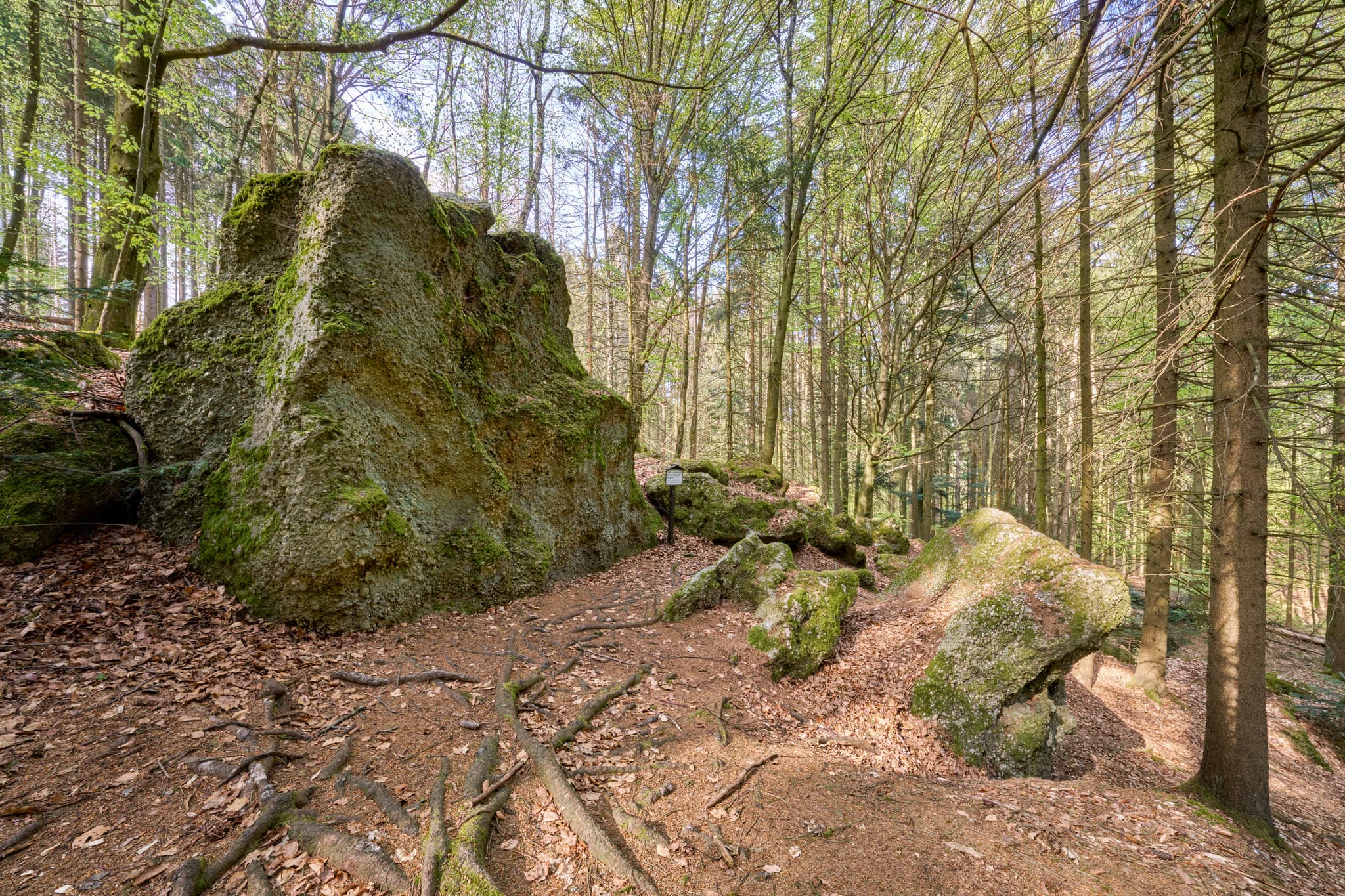 Waldlandschaft mit Felsen in St. Salvator Luisenburg, Bad Griesbach. Landkreis Passau, Niederbayern, Bayern, Deutschland.