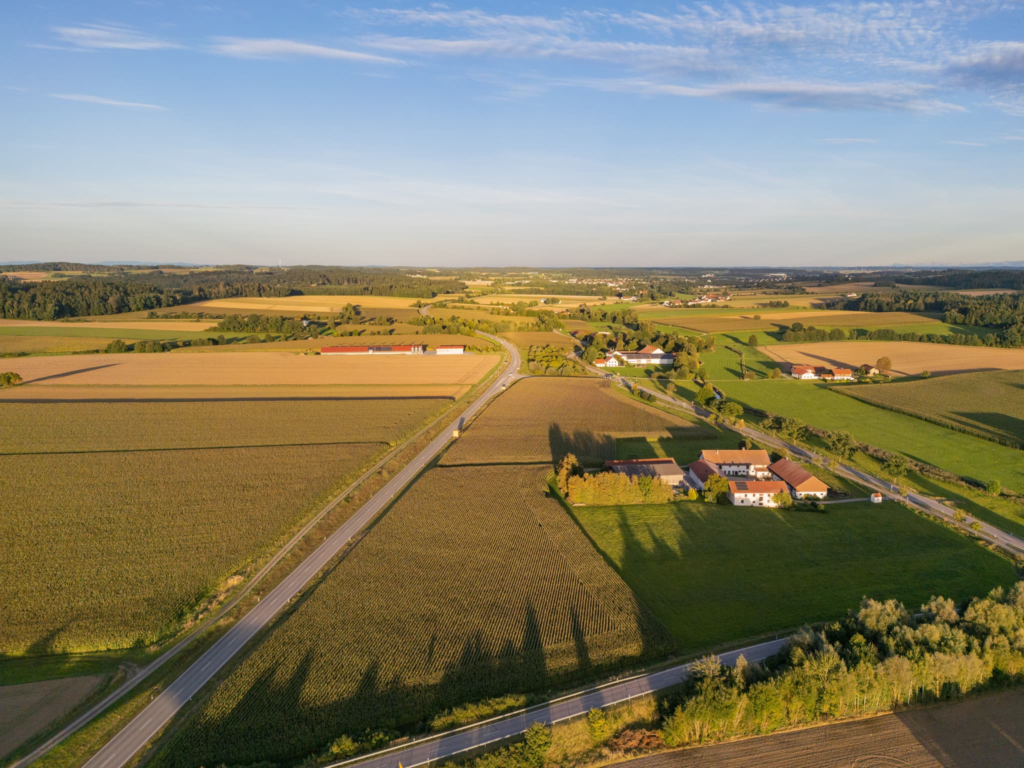 Luftaufnahme bei Dirnaich, Gangkofen, Landkreis Rottal-Inn, Niederbayern. Zeigt weite Felder, Straßen und Höfe im Holzland, Deutschland.