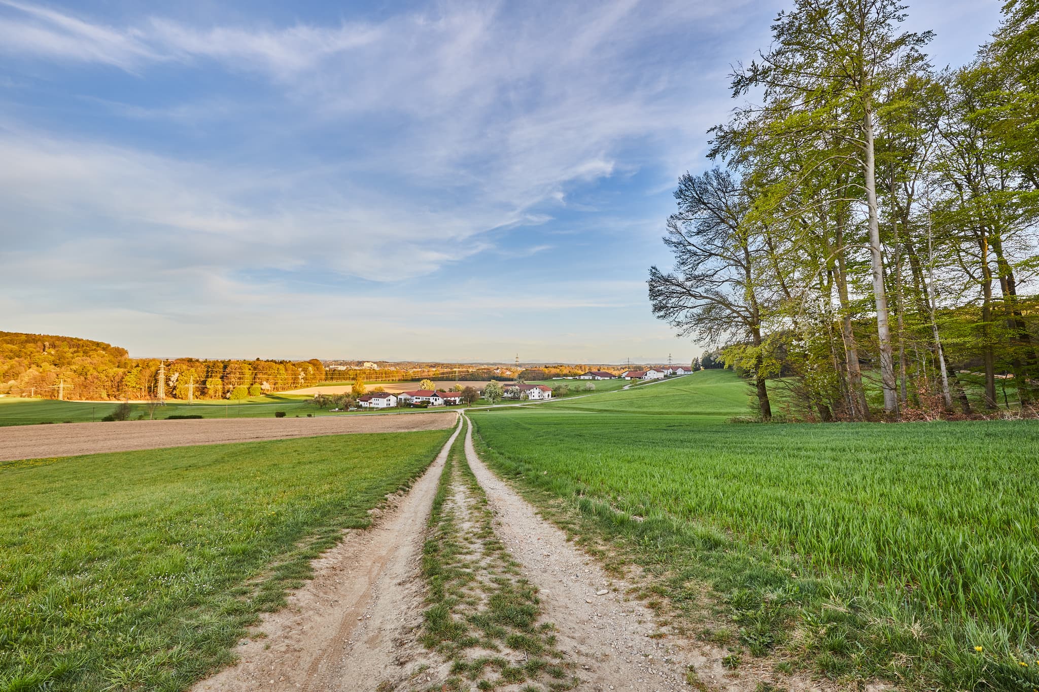 Feldweg führt durch grüne Felder Hörndlweg in Mehring, Landkreis Altötting. Weite Aussicht über die Region Inn-Salzach, Oberbayern, mit Blick auf Burghausen.