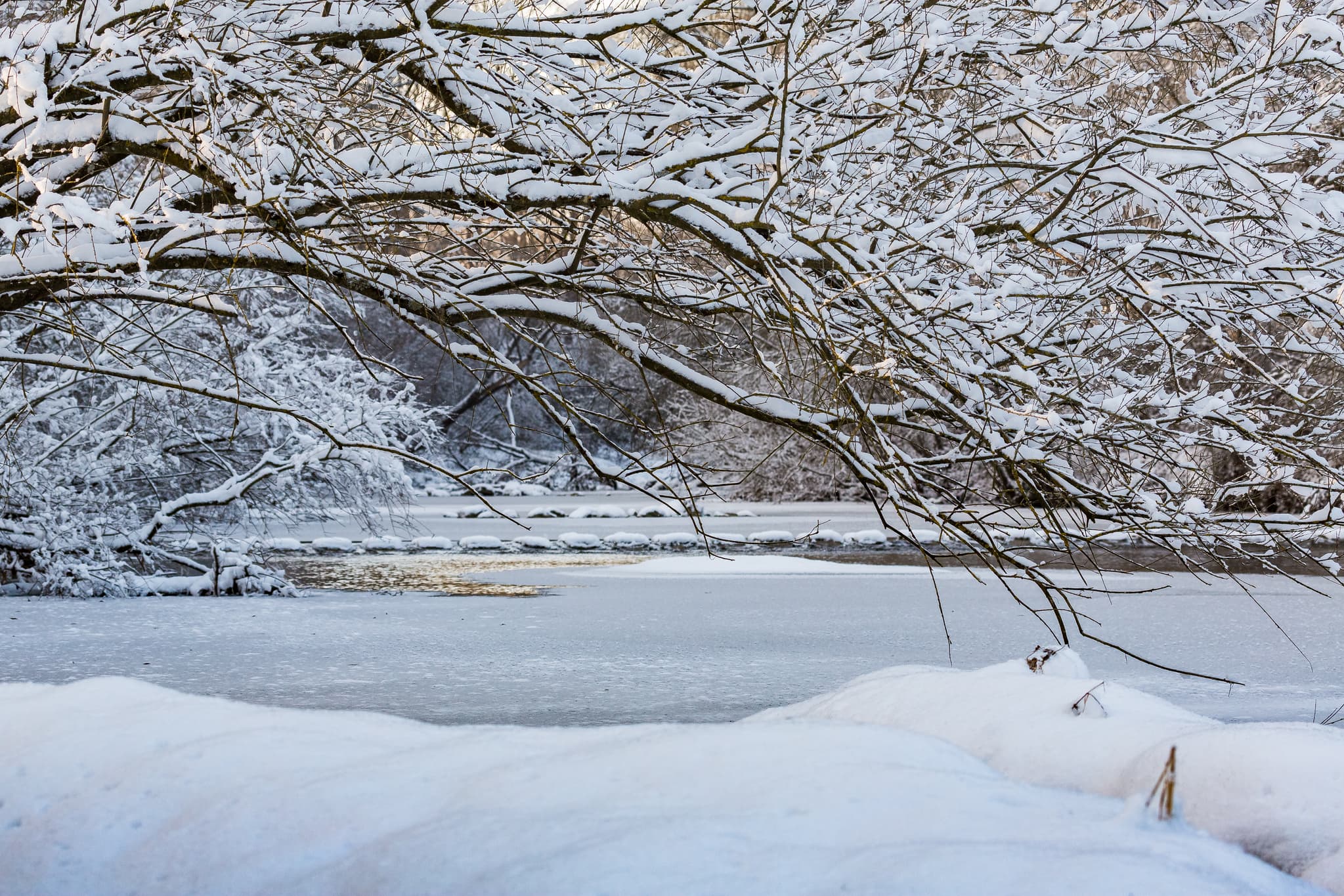 Winterliche Isen in Winhöring, Landkreis Altötting, Oberbayern, Deutschland. Die verschneite Landschaft zeigt gefrorene Gewässer und schneebedeckte Bäume.