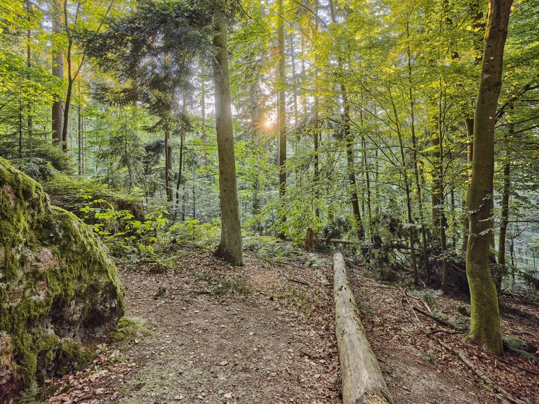 Teufelsfelsen in Bad Griesbach, Landkreis Passau, Niederbayern, Deutschland. Darstellung auf Felsen.